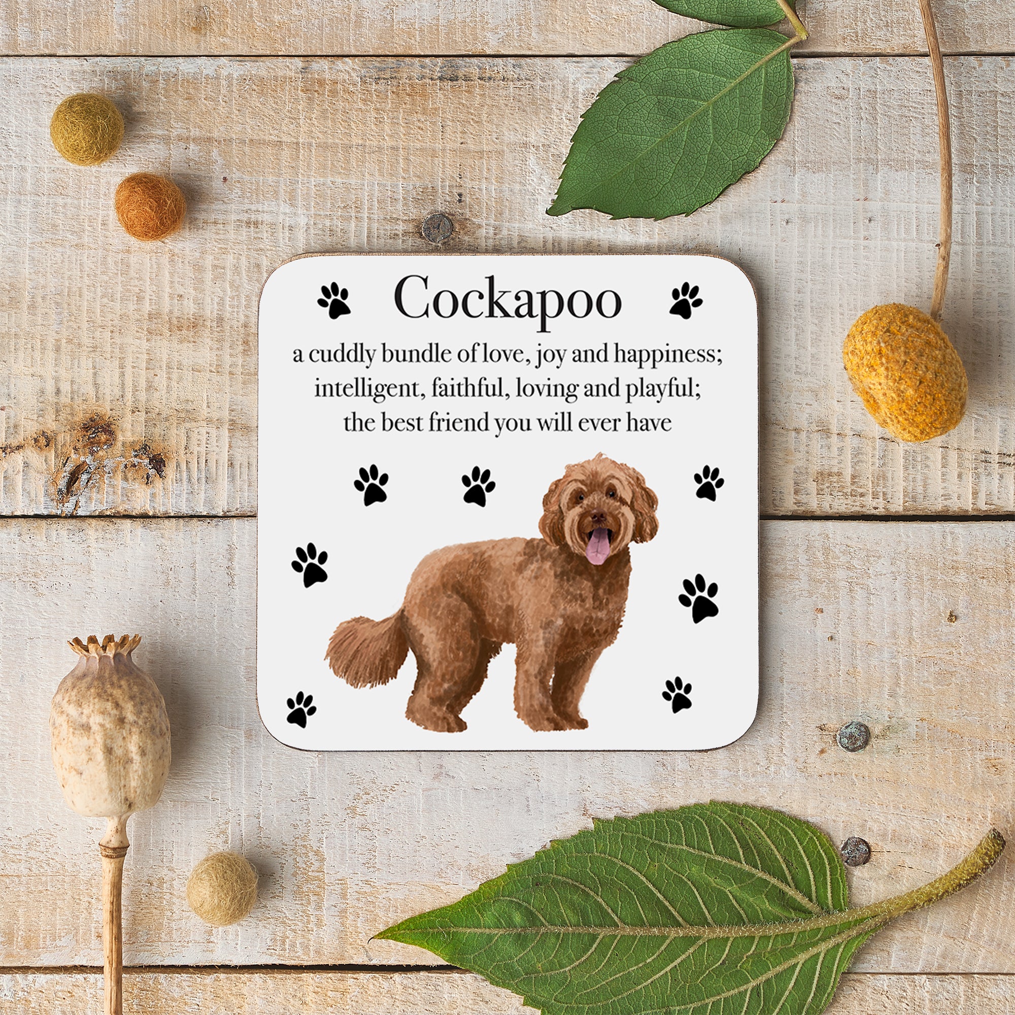 Cockapoo Dog Drinks Coaster Iconic