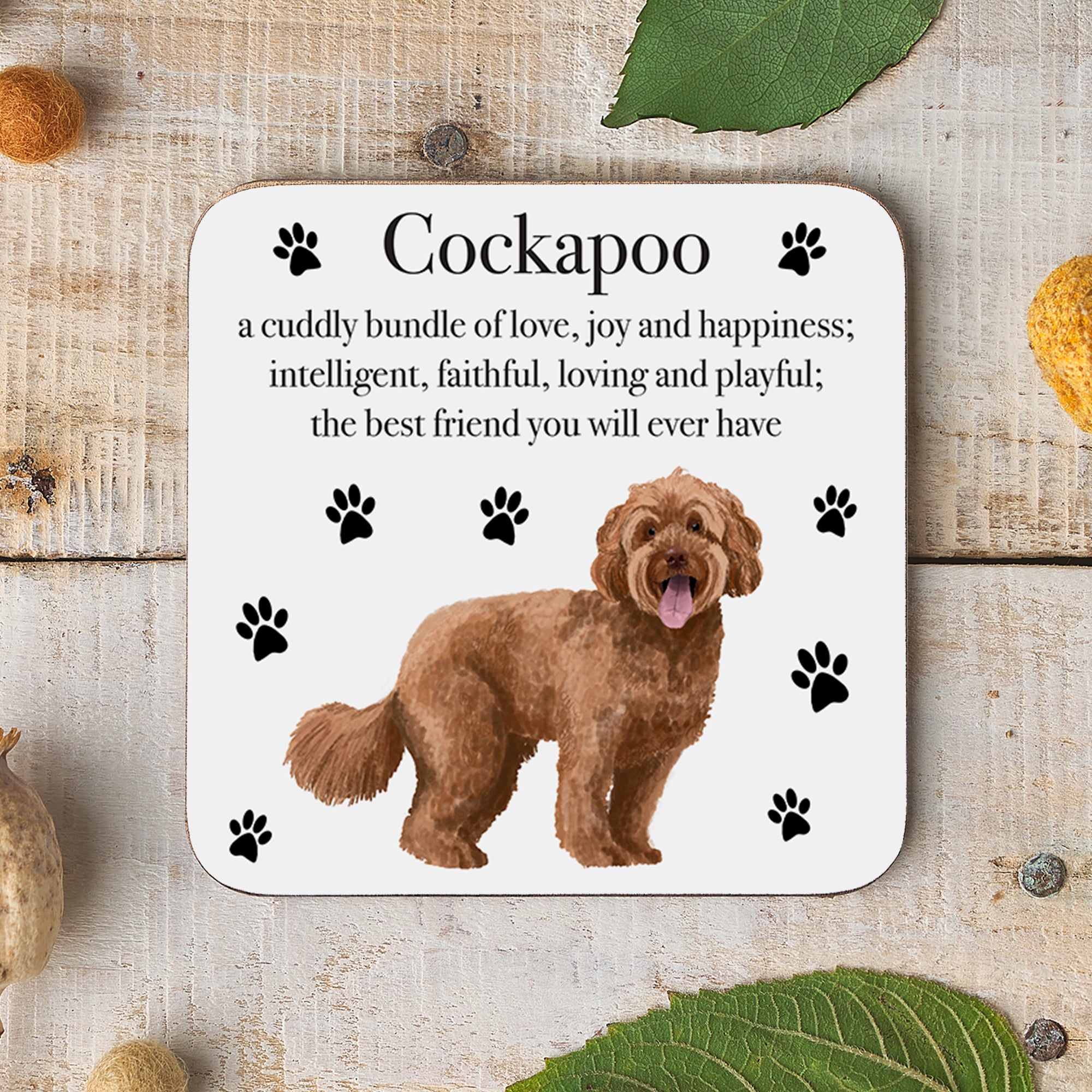 Cockapoo Dog Drinks Coaster Iconic