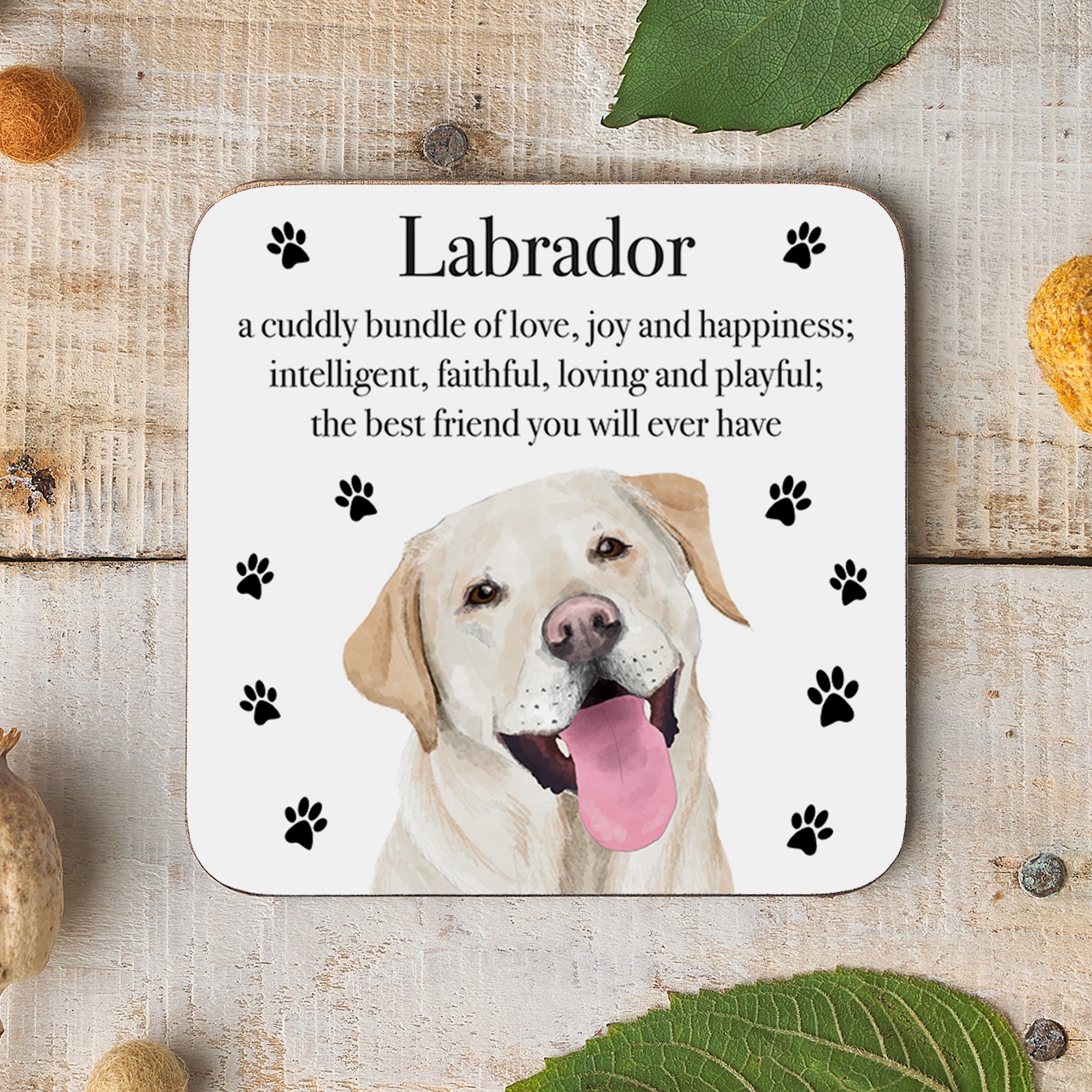 Labrador Dog Drinks Coaster Iconic