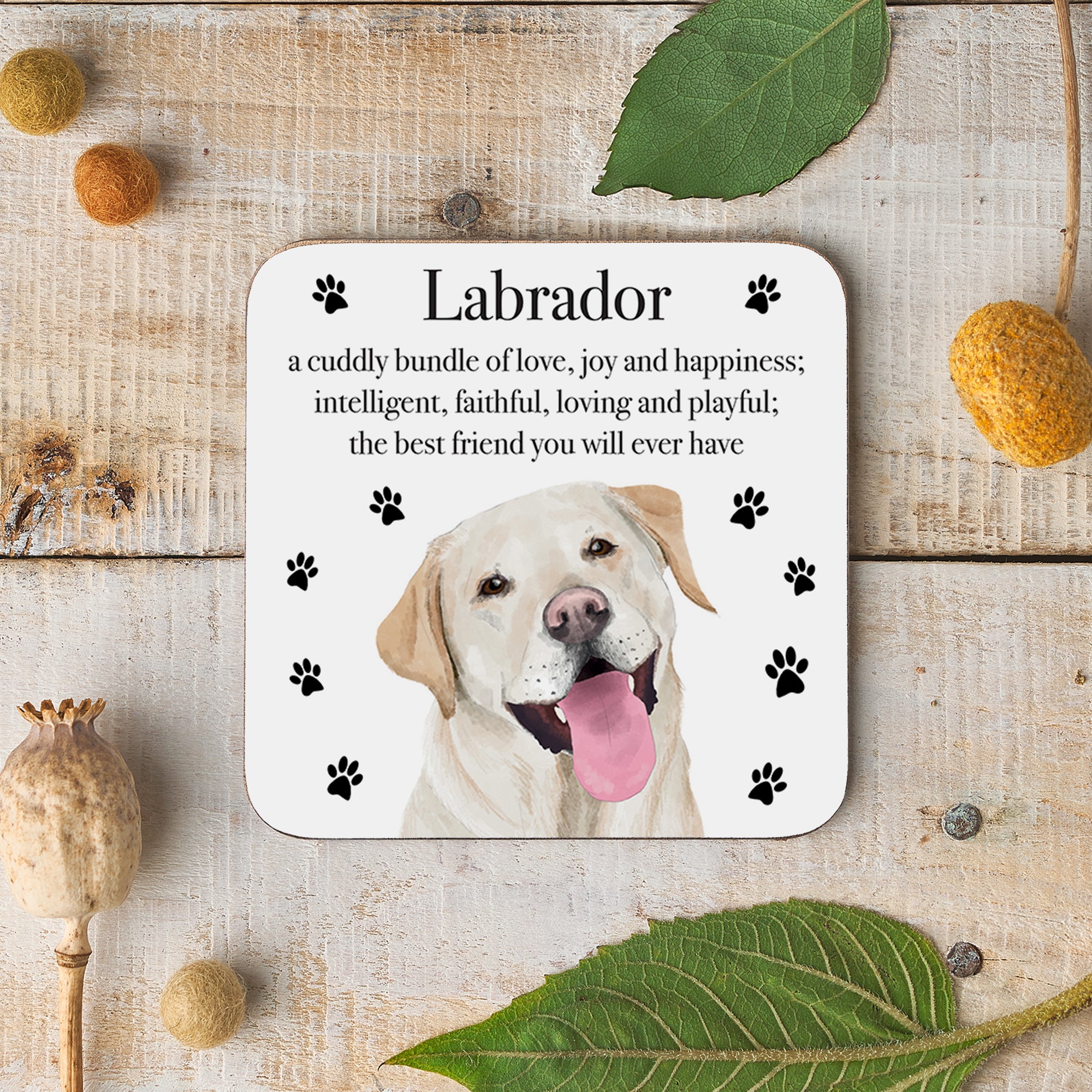 Labrador Dog Drinks Coaster Iconic