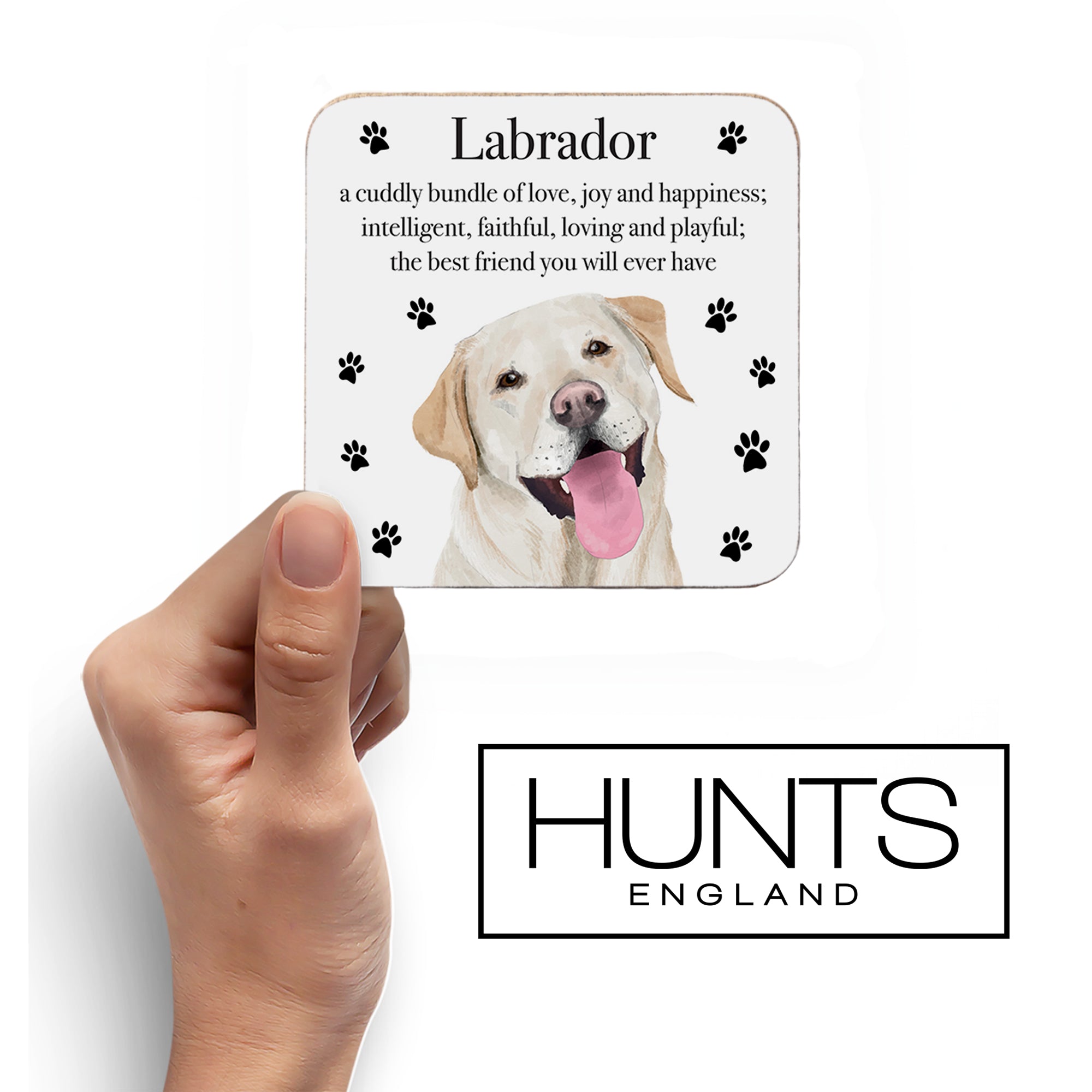 Labrador Dog Drinks Coaster Iconic