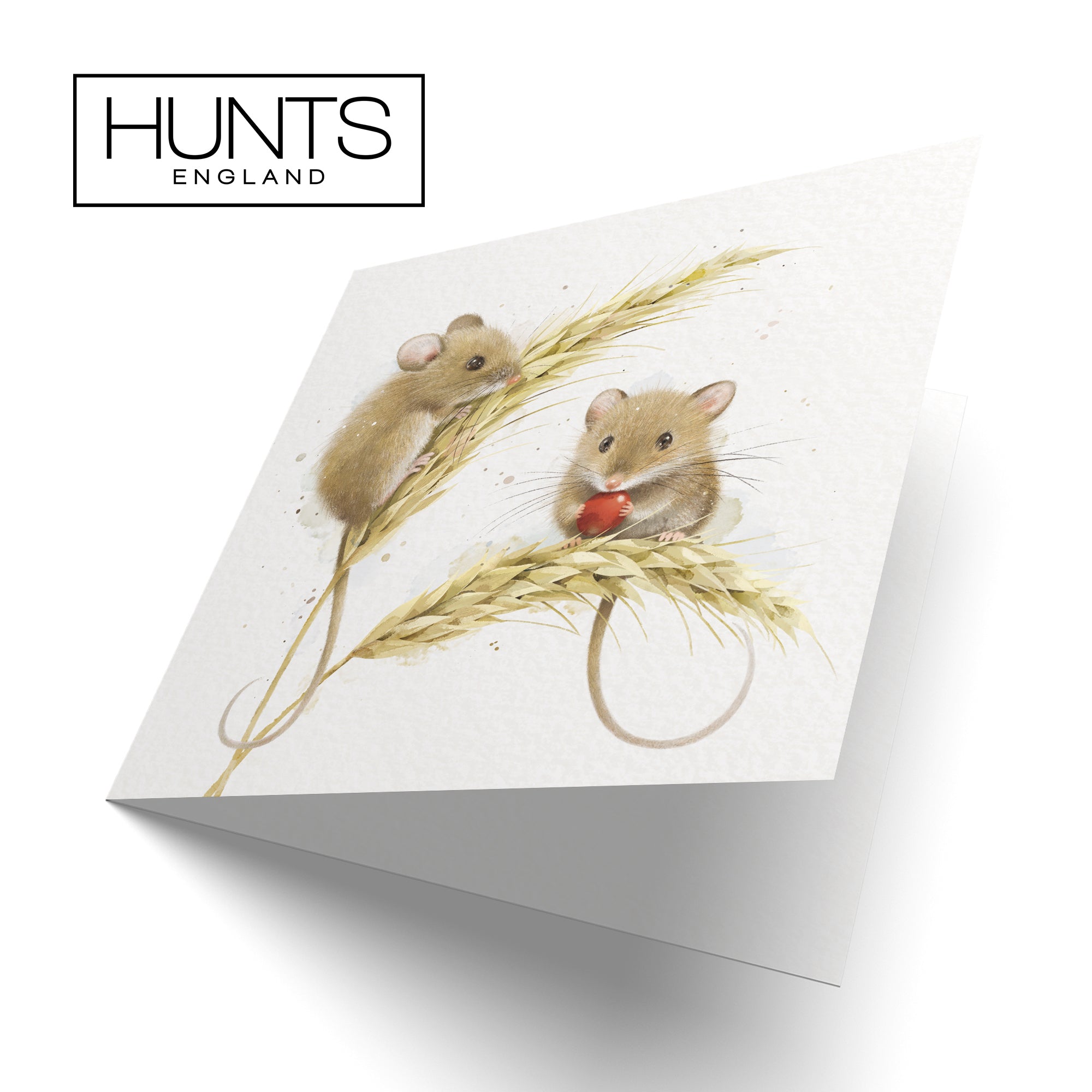 Blank Card Artistic Harvest Mice Milo's Gallery