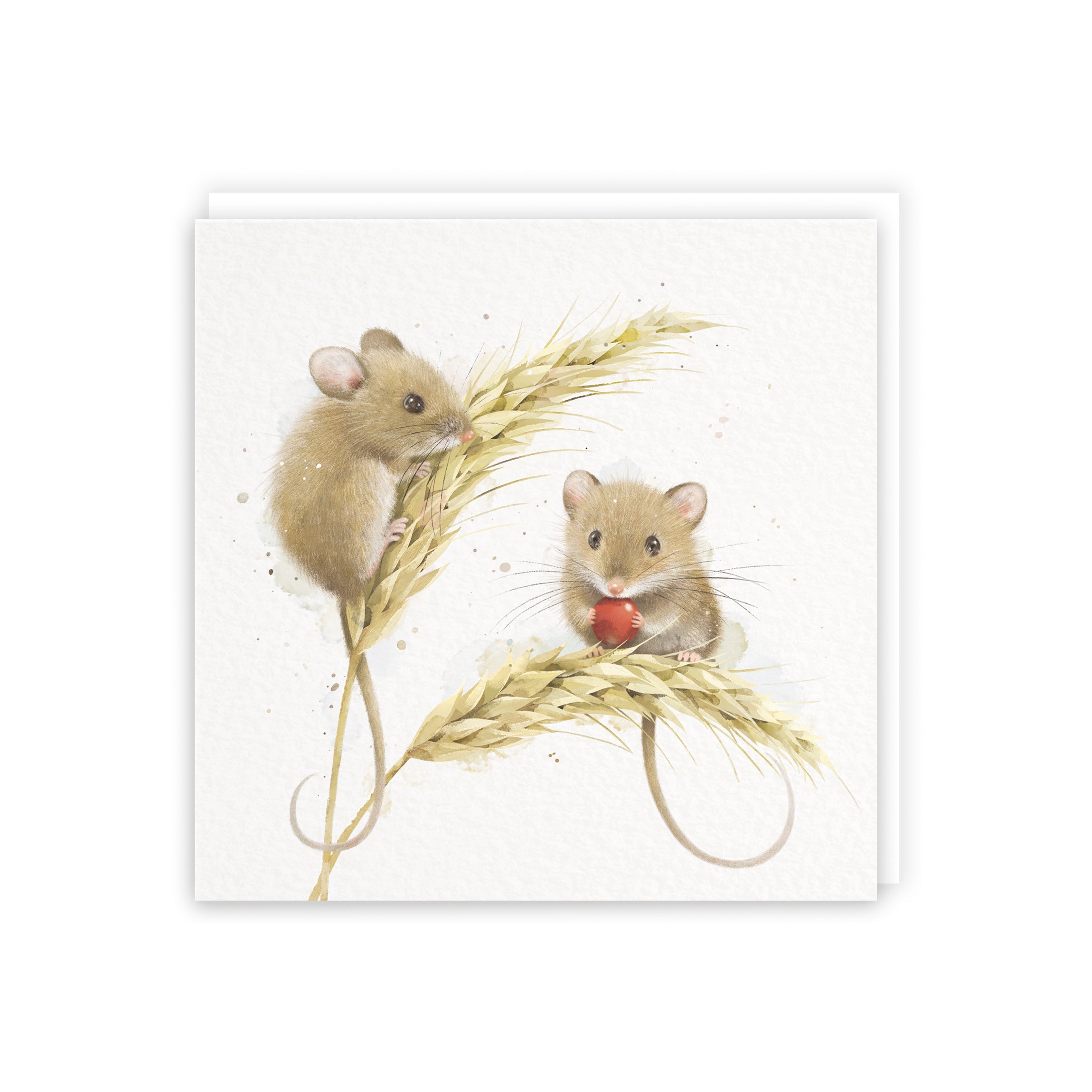 Blank Card Artistic Harvest Mice Milo's Gallery