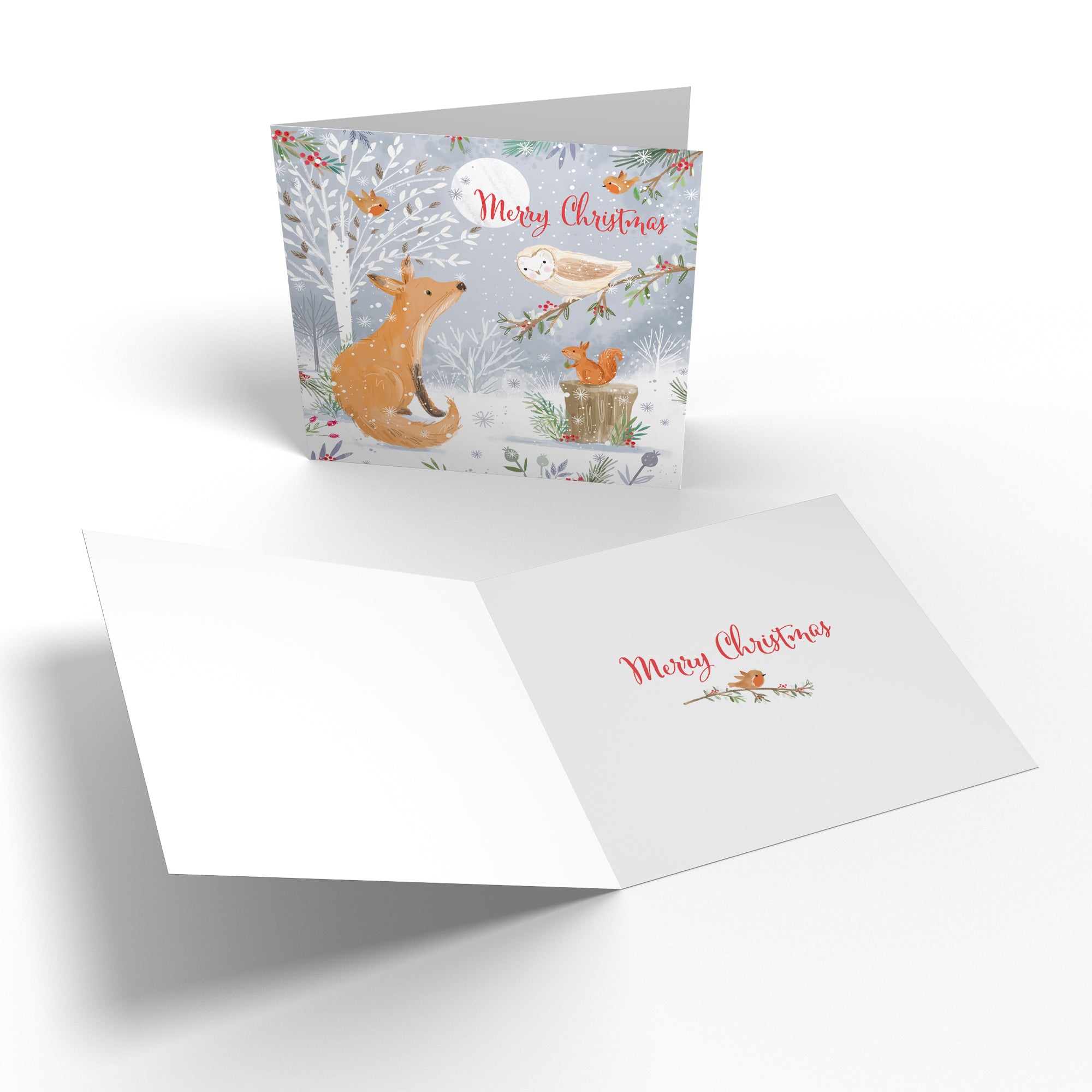 Merry Christmas Family Fun Pack Of 10 Mixed Cards Nature's Treasures