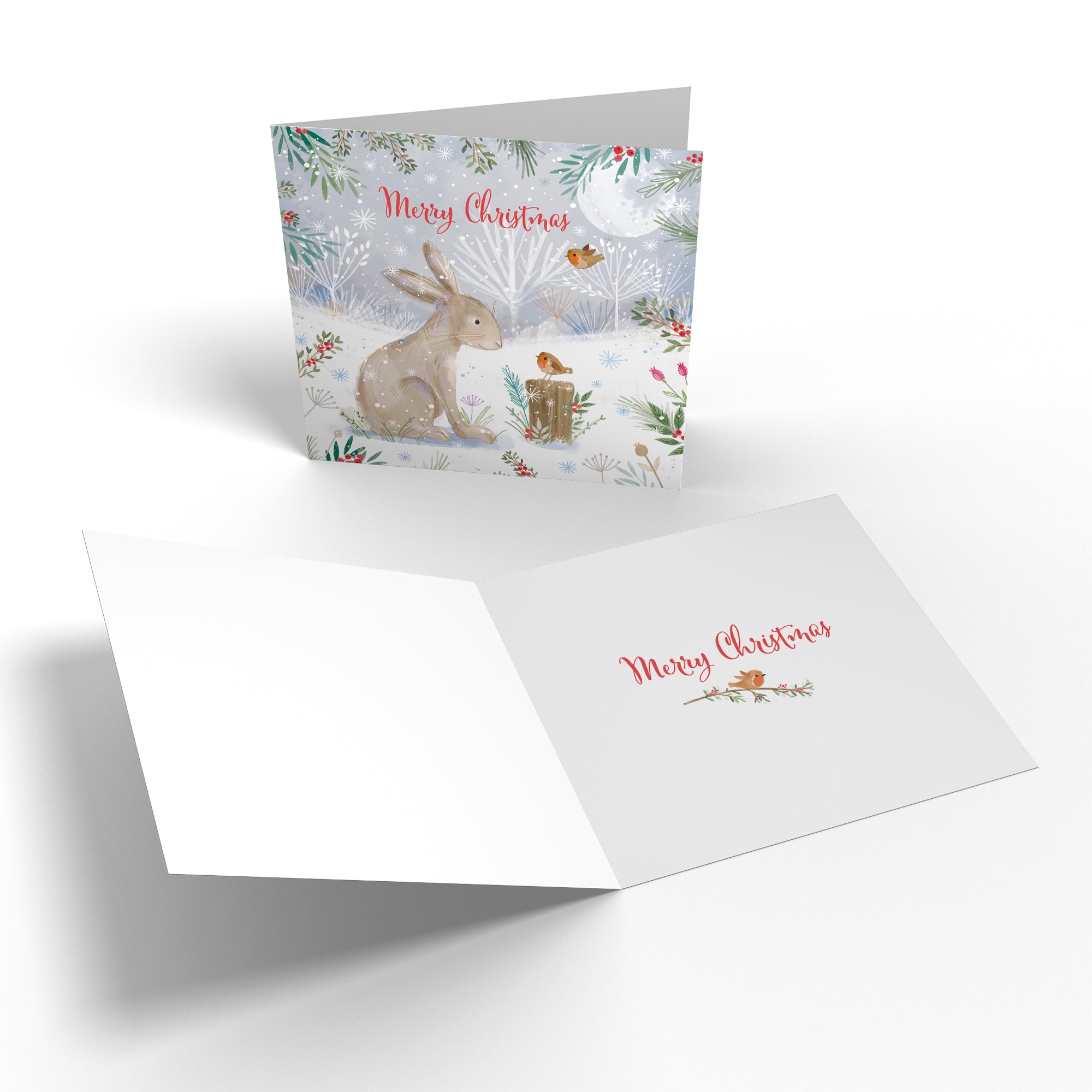 Merry Christmas Family Fun Pack Of 10 Mixed Cards Nature's Treasures