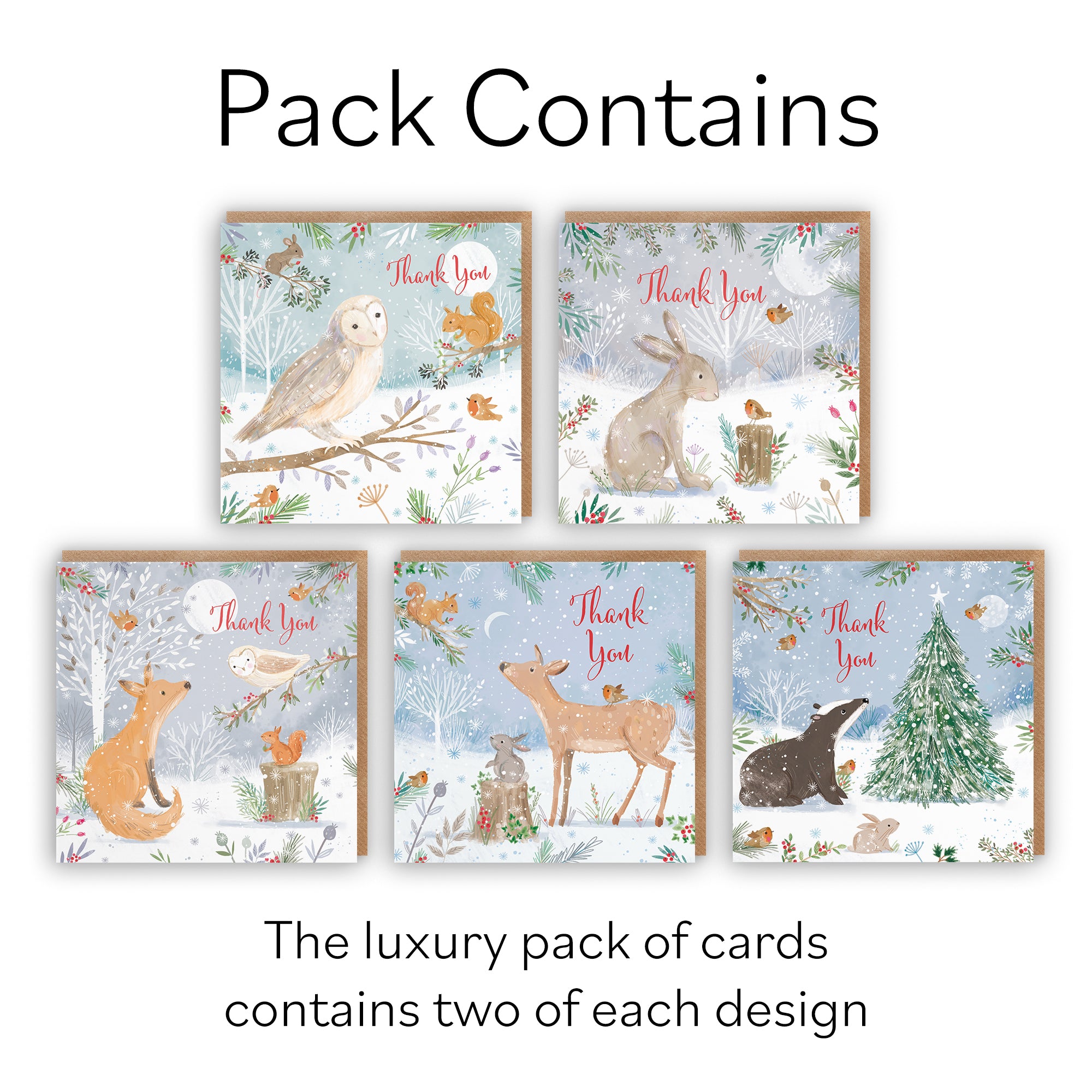 Family Fun Pack Of 10 Mixed Thank You Christmas Cards Nature's Treasures