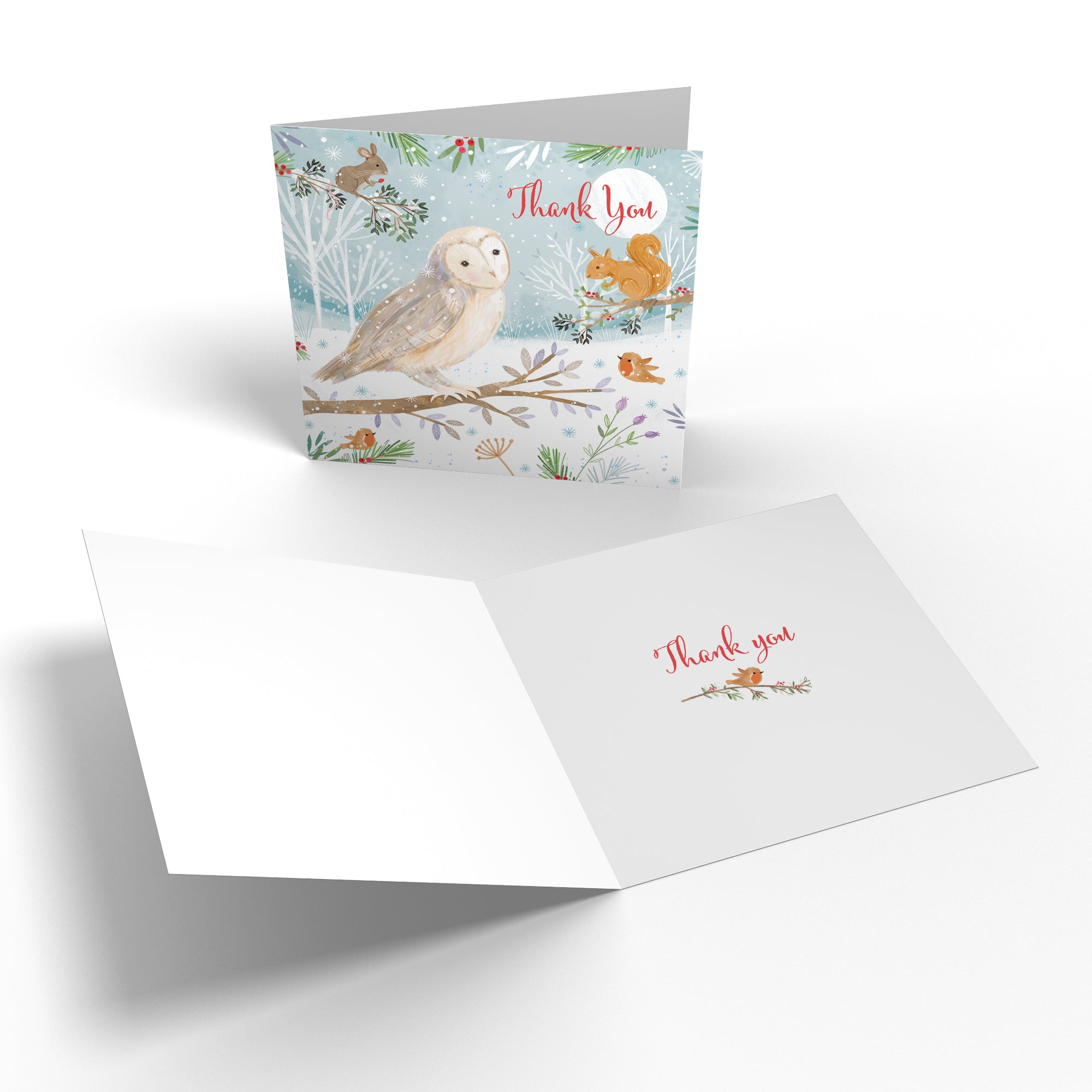 Family Fun Pack Of 10 Mixed Thank You Christmas Cards Nature's Treasures