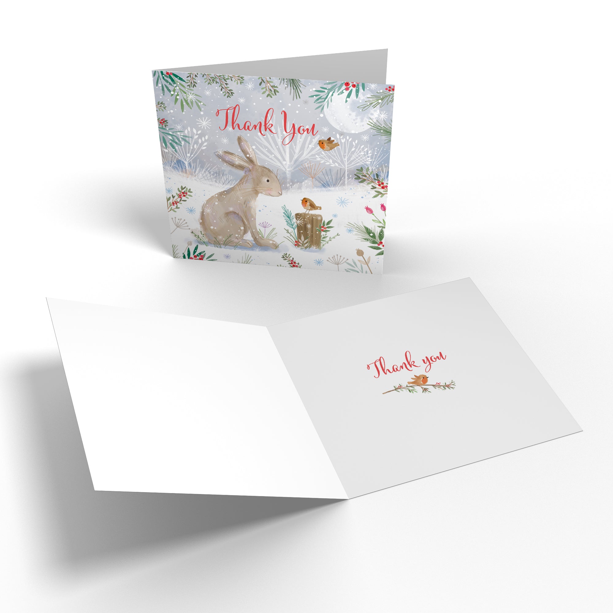 Family Fun Pack Of 10 Mixed Thank You Christmas Cards Nature's Treasures