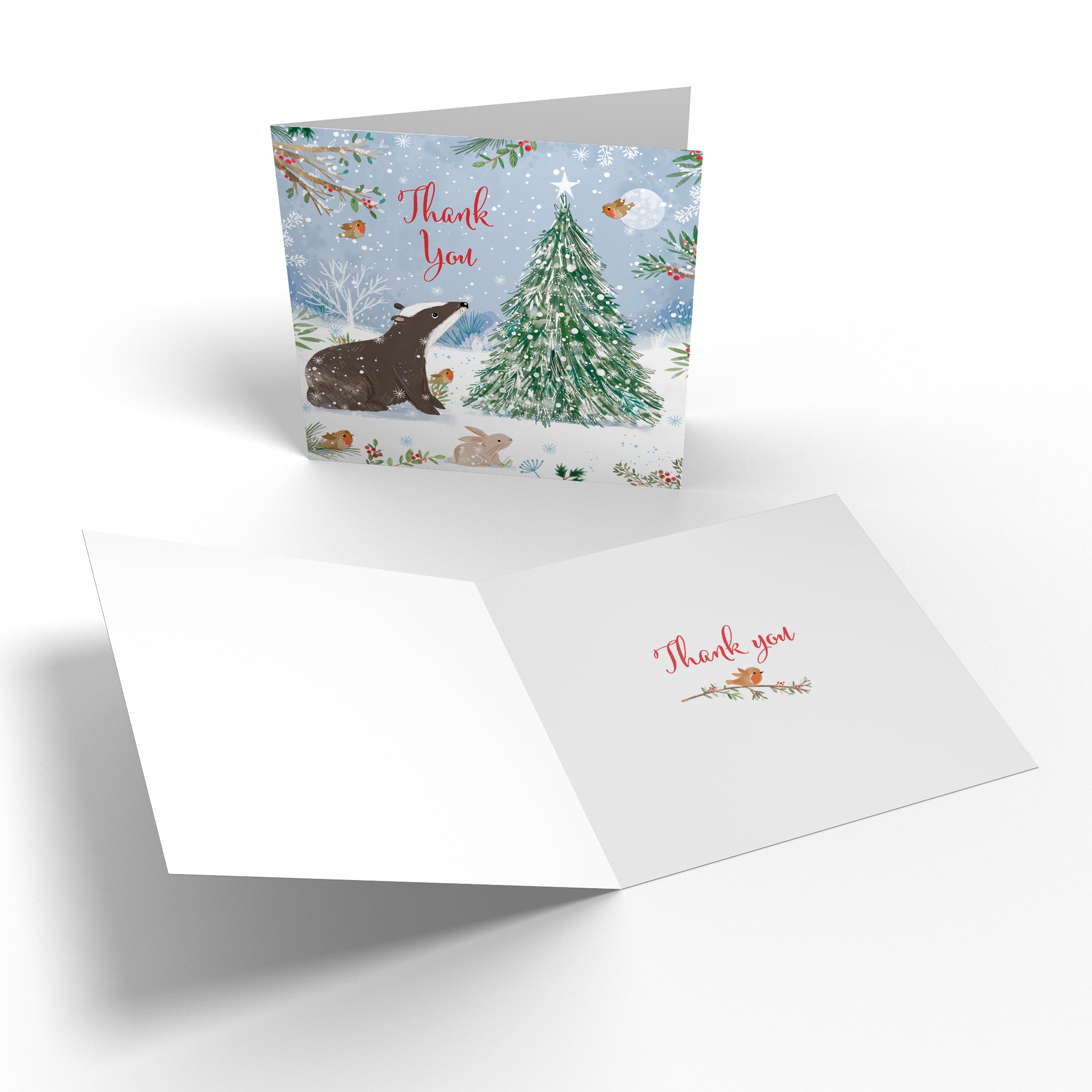 Family Fun Pack Of 10 Mixed Thank You Christmas Cards Nature's Treasures