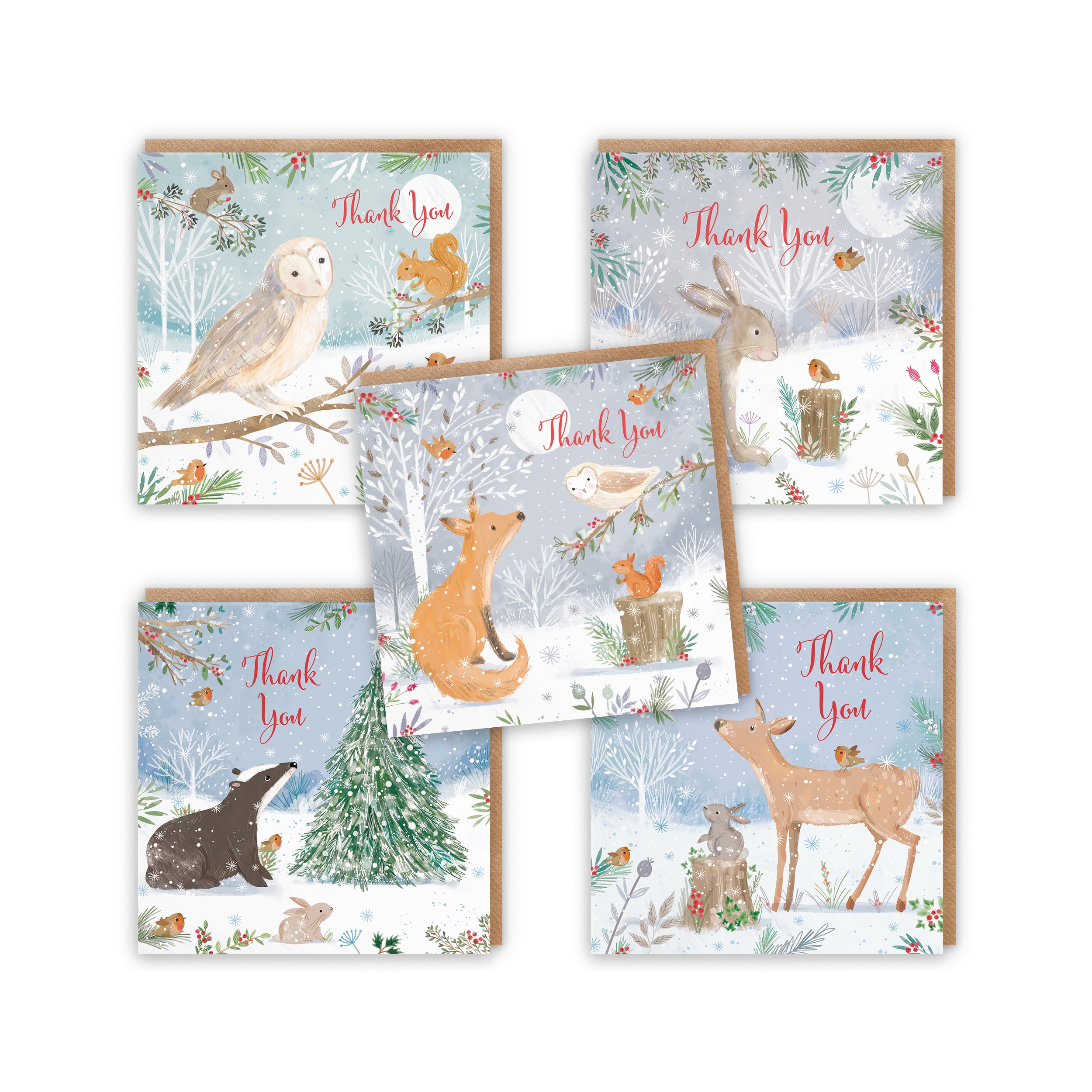 Family Fun Pack Of 10 Mixed Thank You Christmas Cards Nature's Treasures