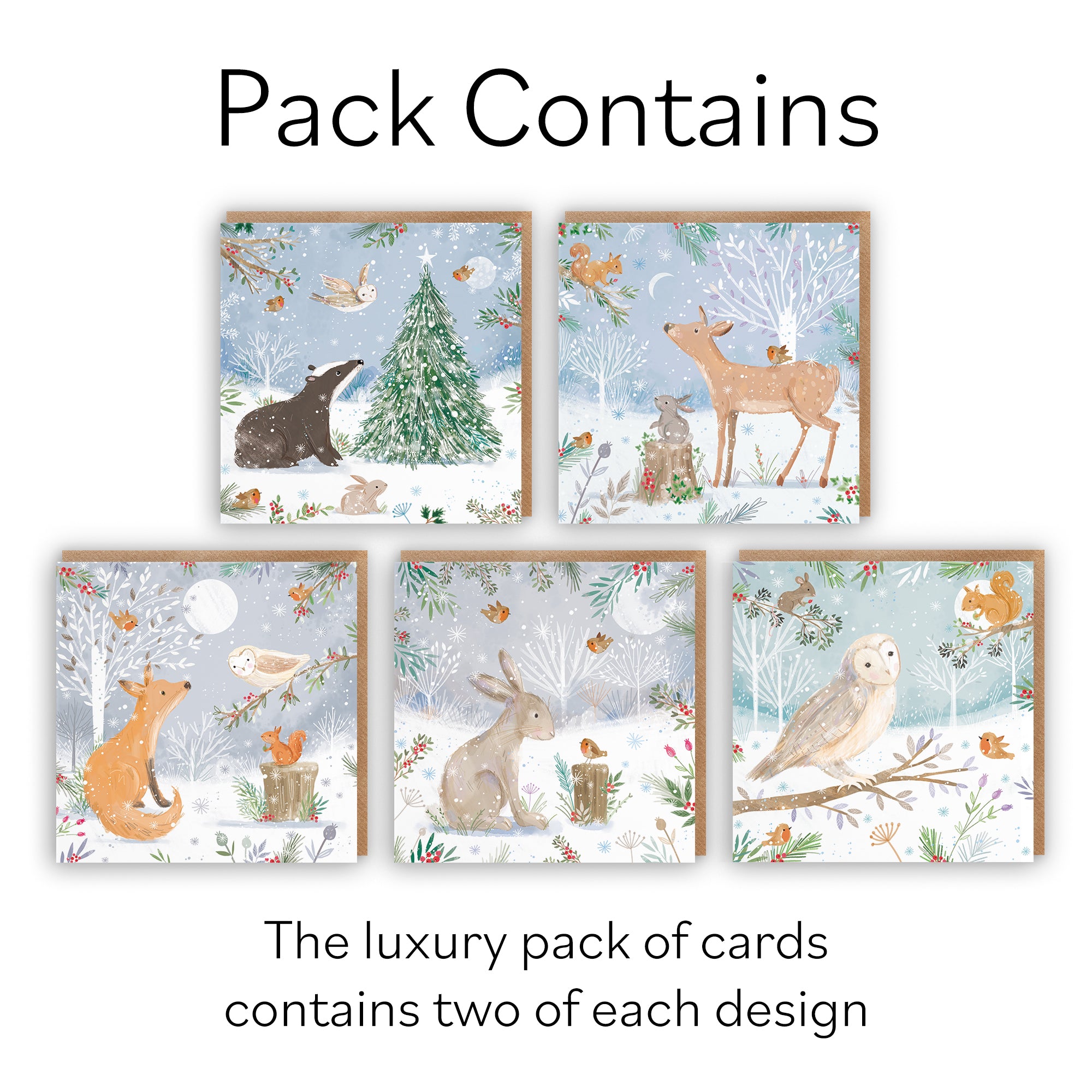 Family Fun Pack Of 10 Mixed Christmas Cards Nature's Treasures