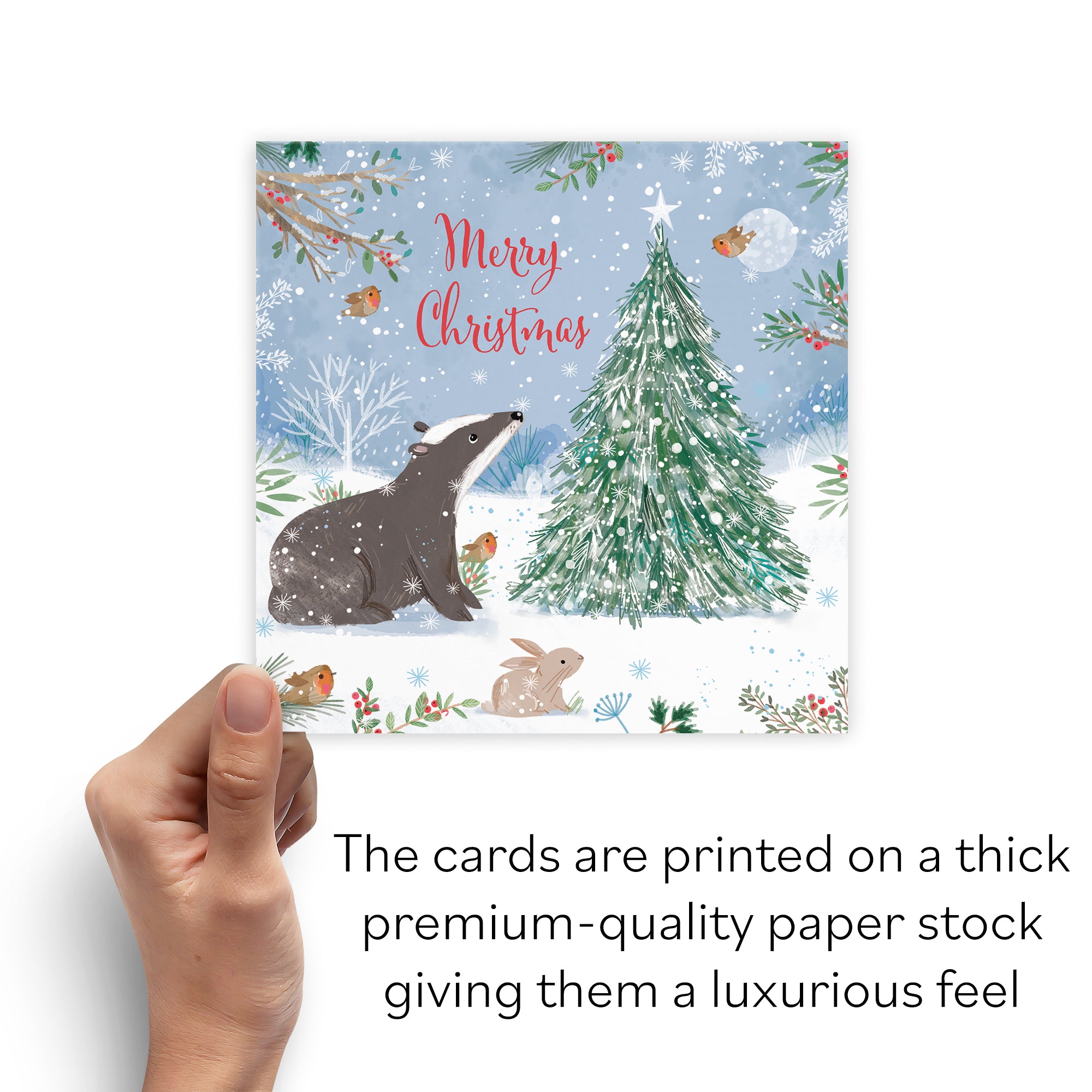 Merry Christmas Badger Family Fun Pack Of 10 Cards Nature's Treasures