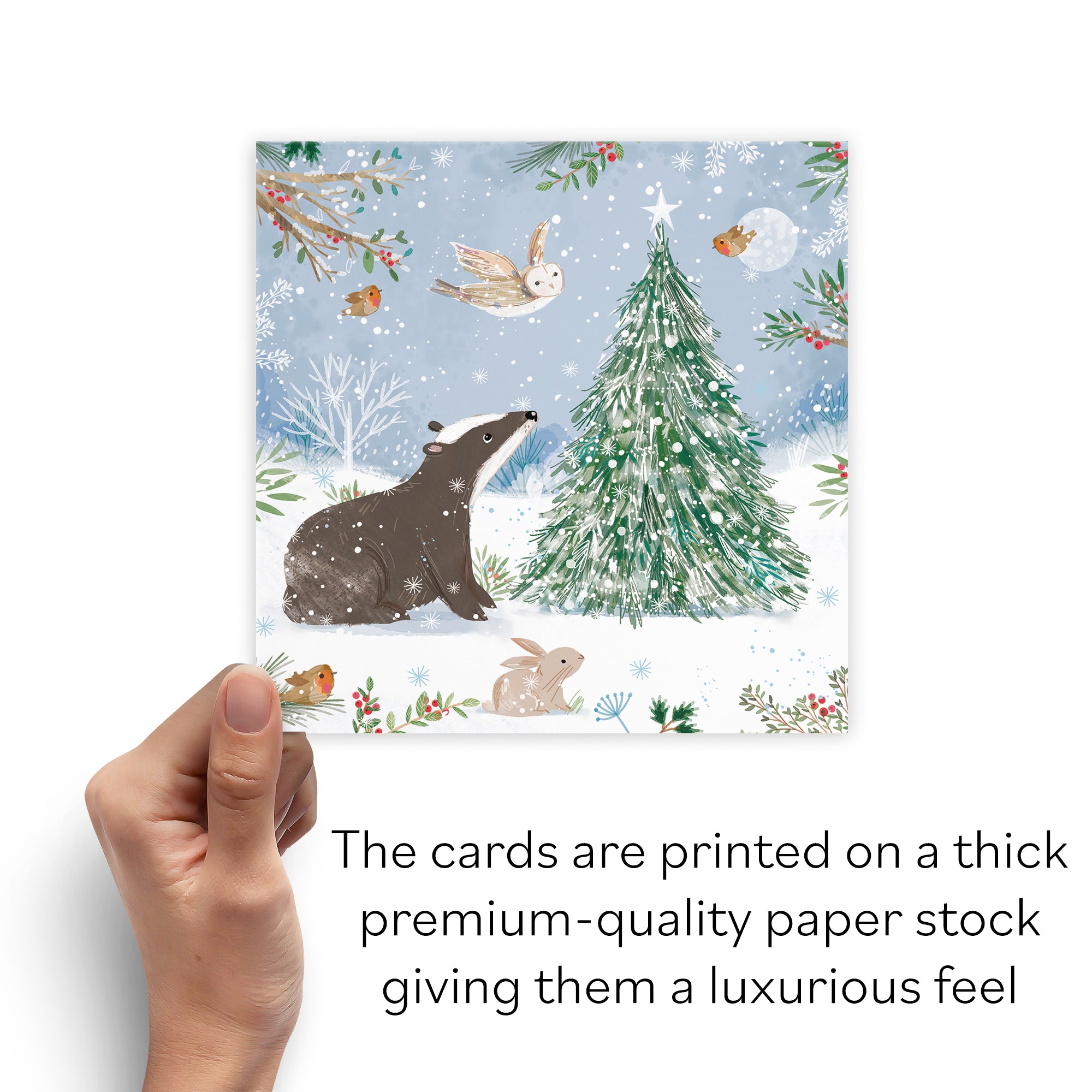 Badger Family Fun Pack Of 10 Christmas Cards Nature's Treasures