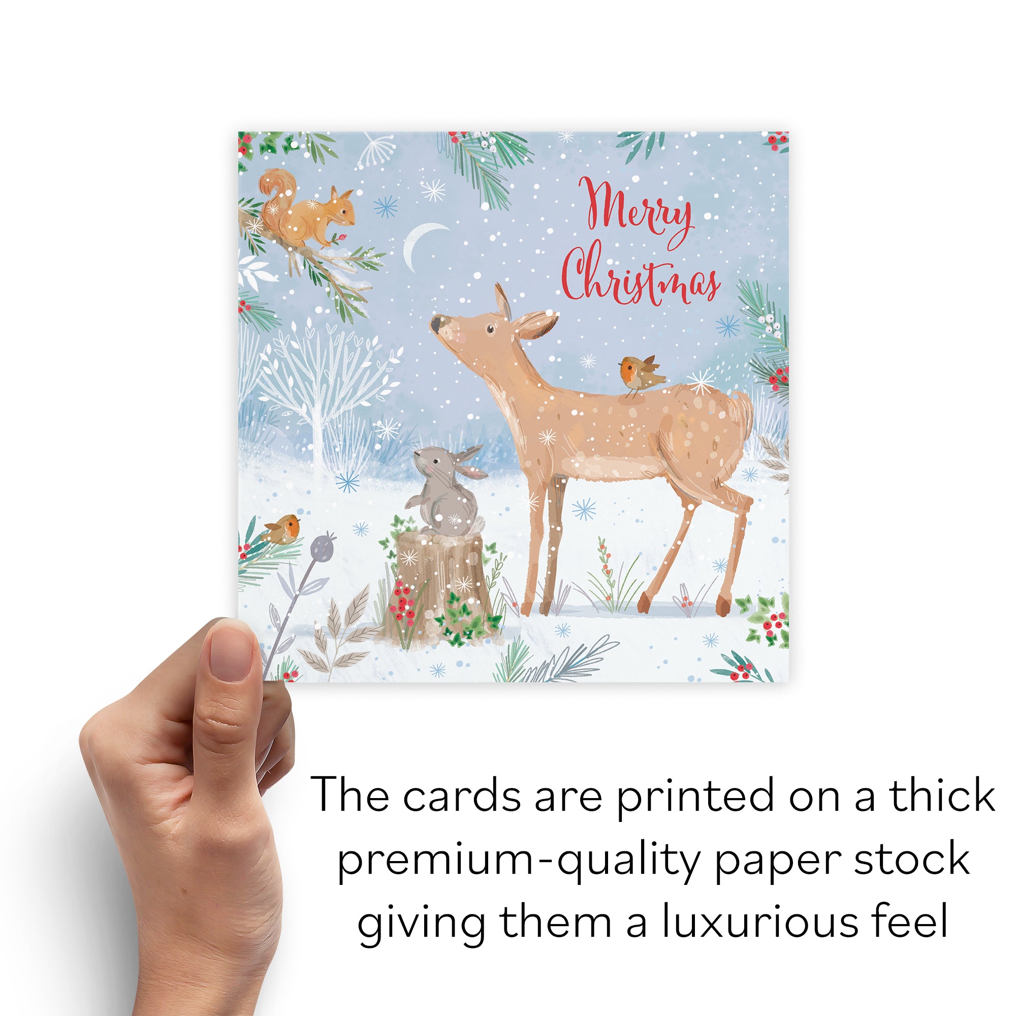 Merry Christmas Deer Family Fun Pack Of 10 Cards Nature's Treasures