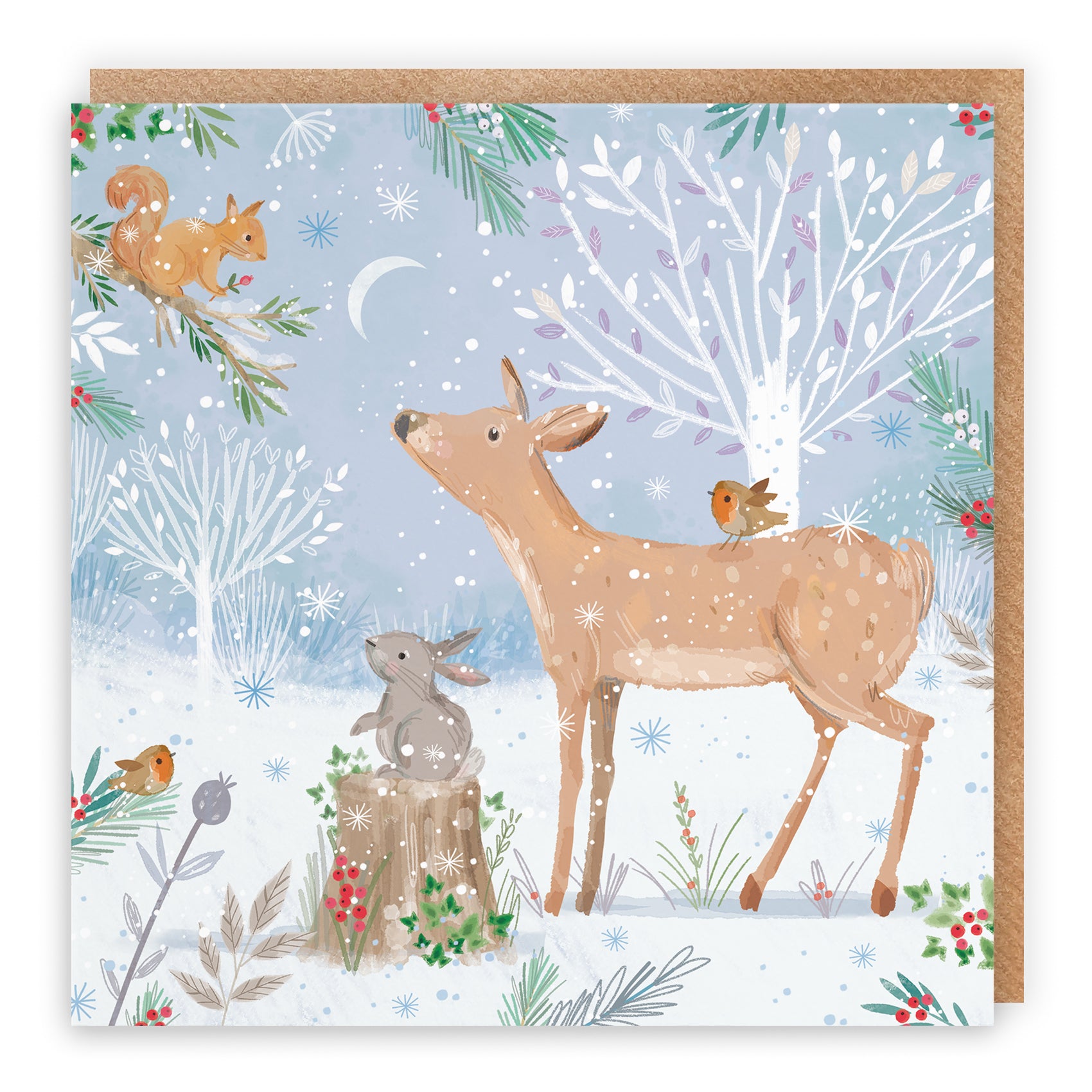 Deer Family Fun Pack Of 10 Christmas Cards Nature's Treasures