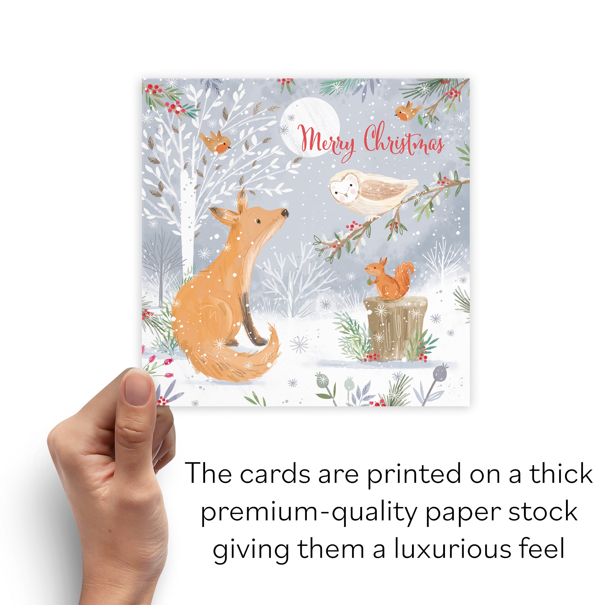 Merry Christmas Fox Family Fun Pack Of 10 Cards Nature's Treasures