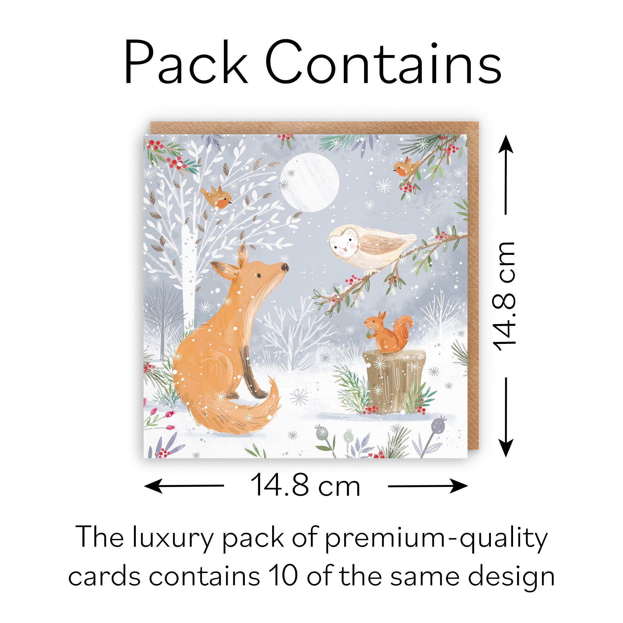 Fox Family Fun Pack Of 10 Christmas Cards Nature's Treasures