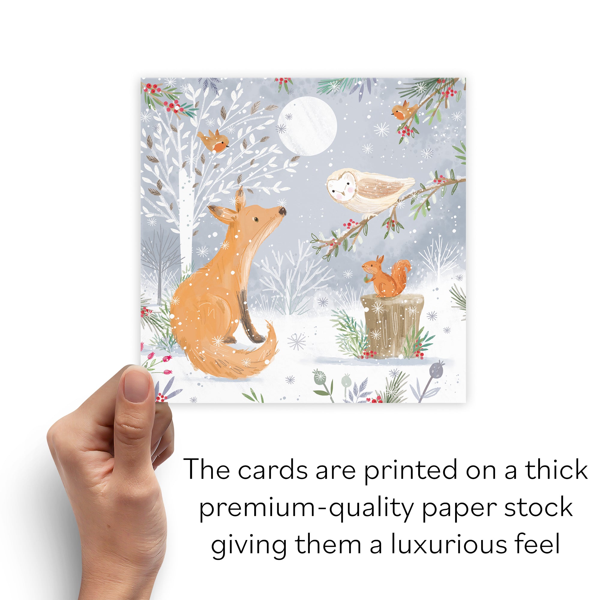 Fox Family Fun Pack Of 10 Christmas Cards Nature's Treasures