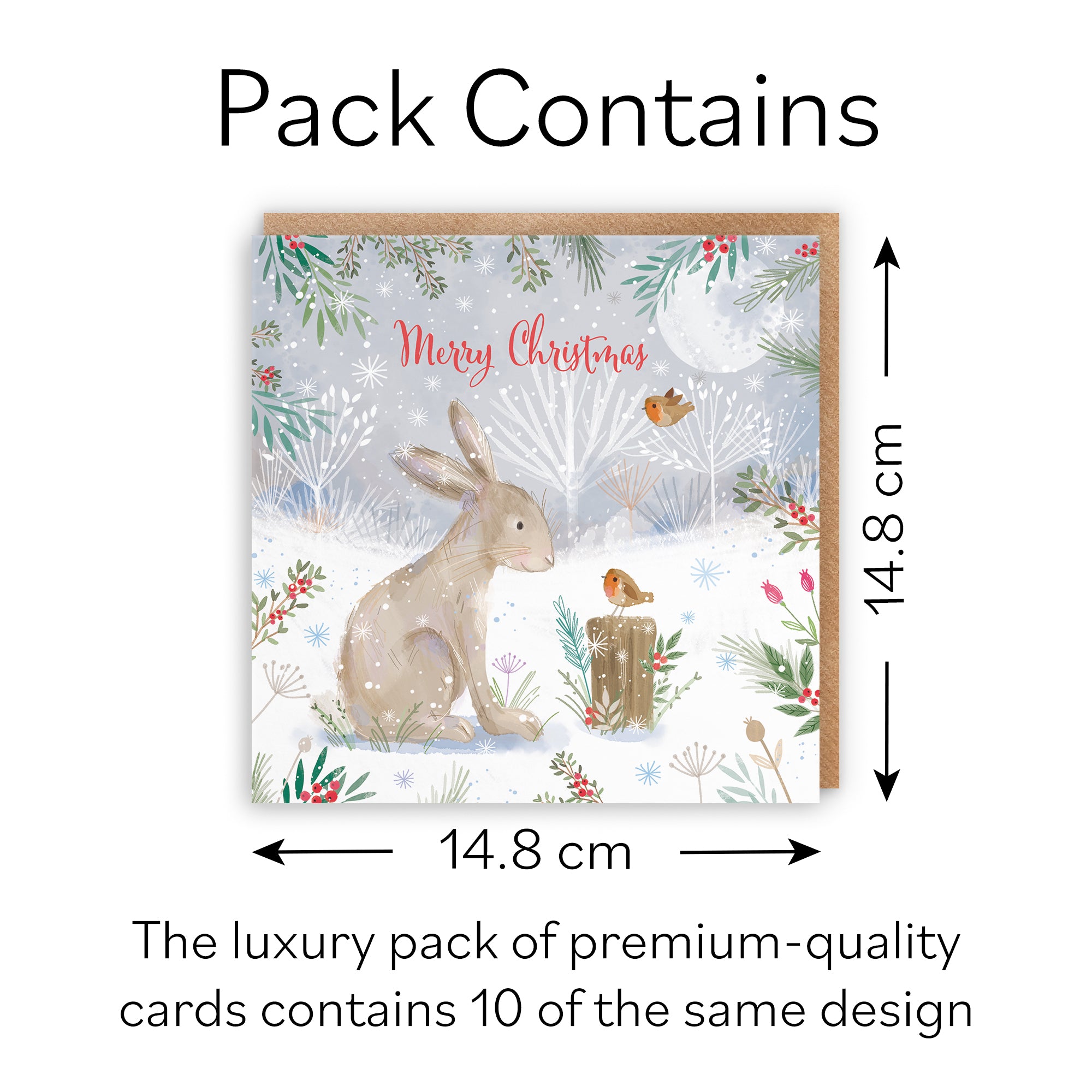 Merry Christmas Hare Family Fun Pack Of 10 Cards Nature's Treasures