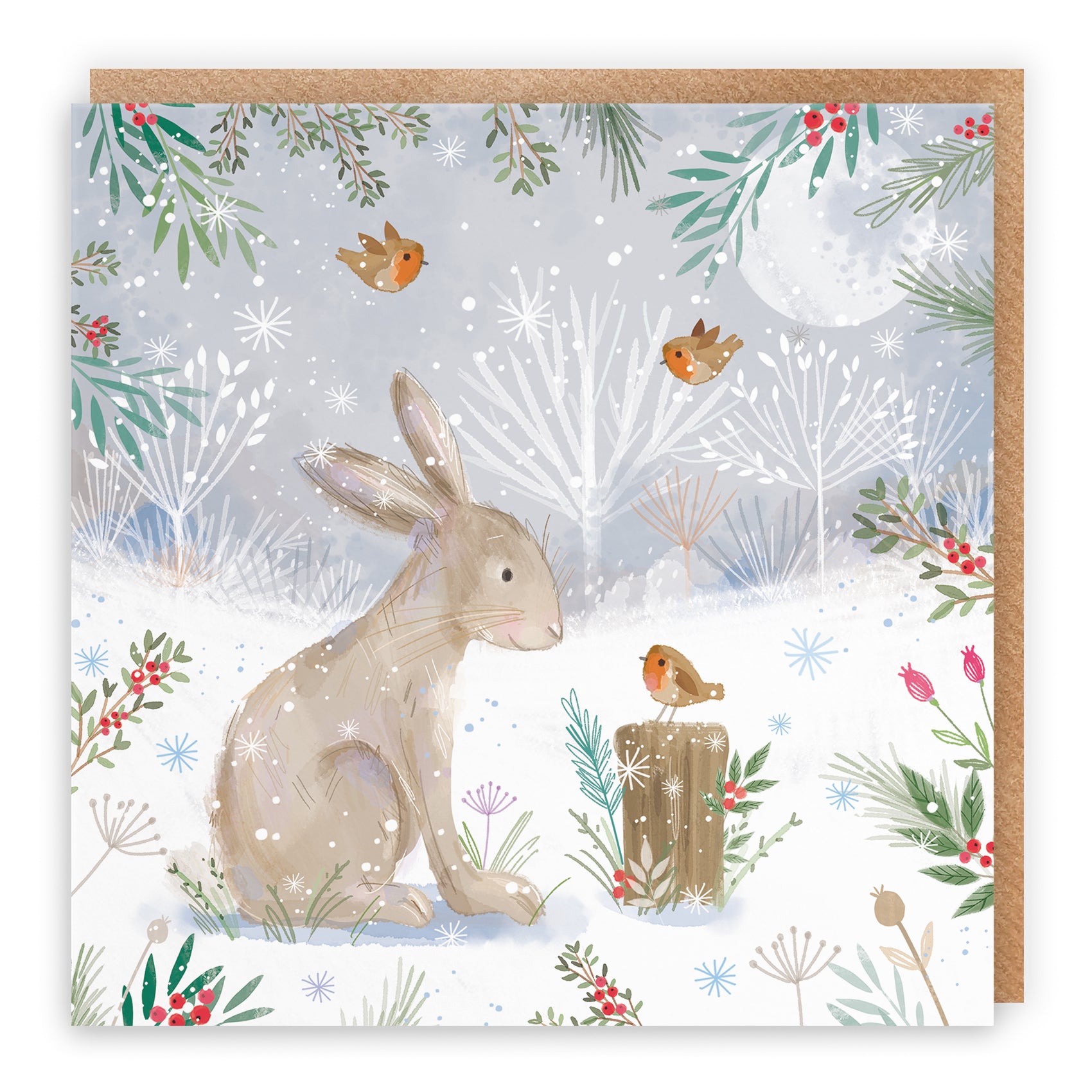 Hare Family Fun Pack Of 10 Christmas Cards Nature's Treasures