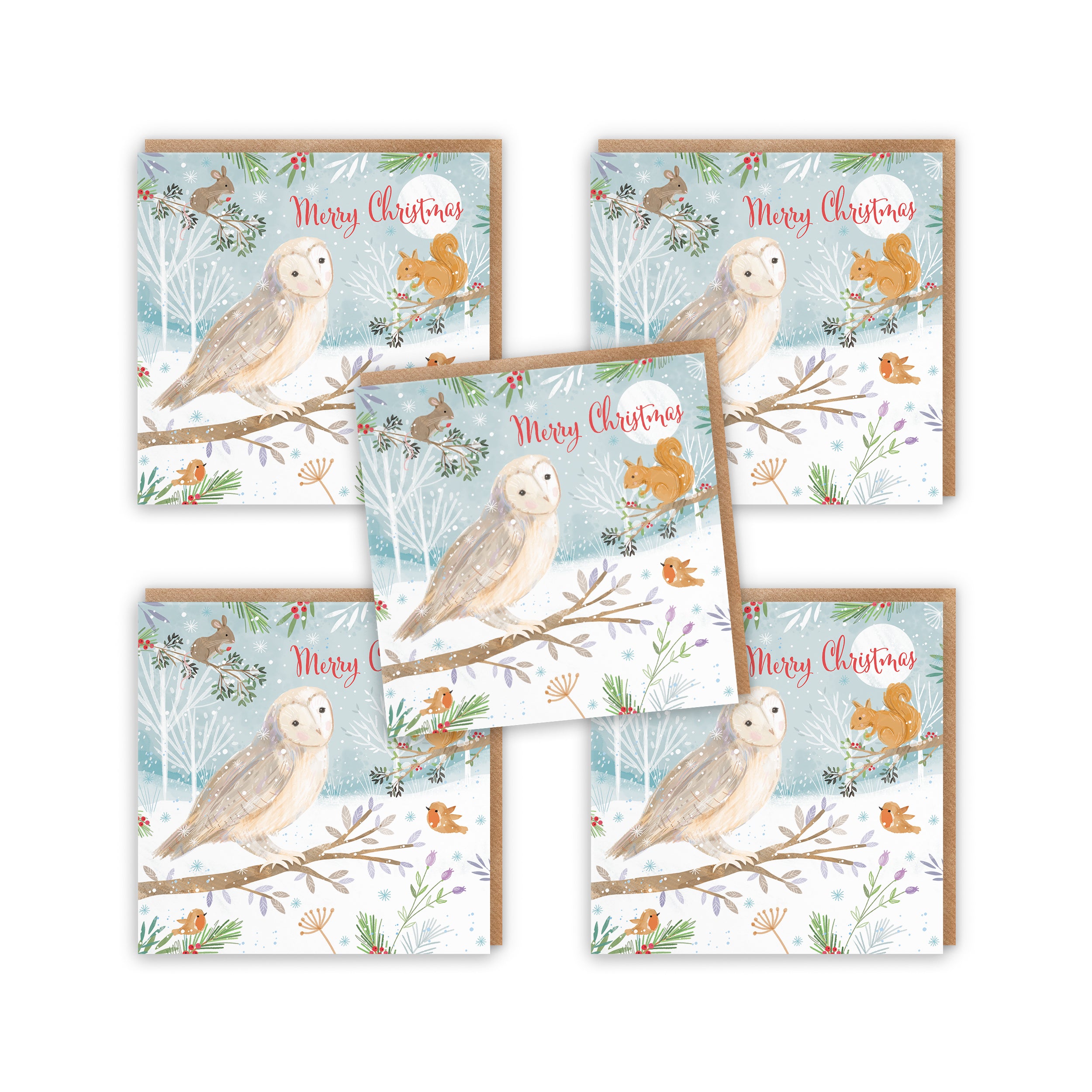 Merry Christmas Owl Family Fun Pack Of 10 Cards Nature's Treasures