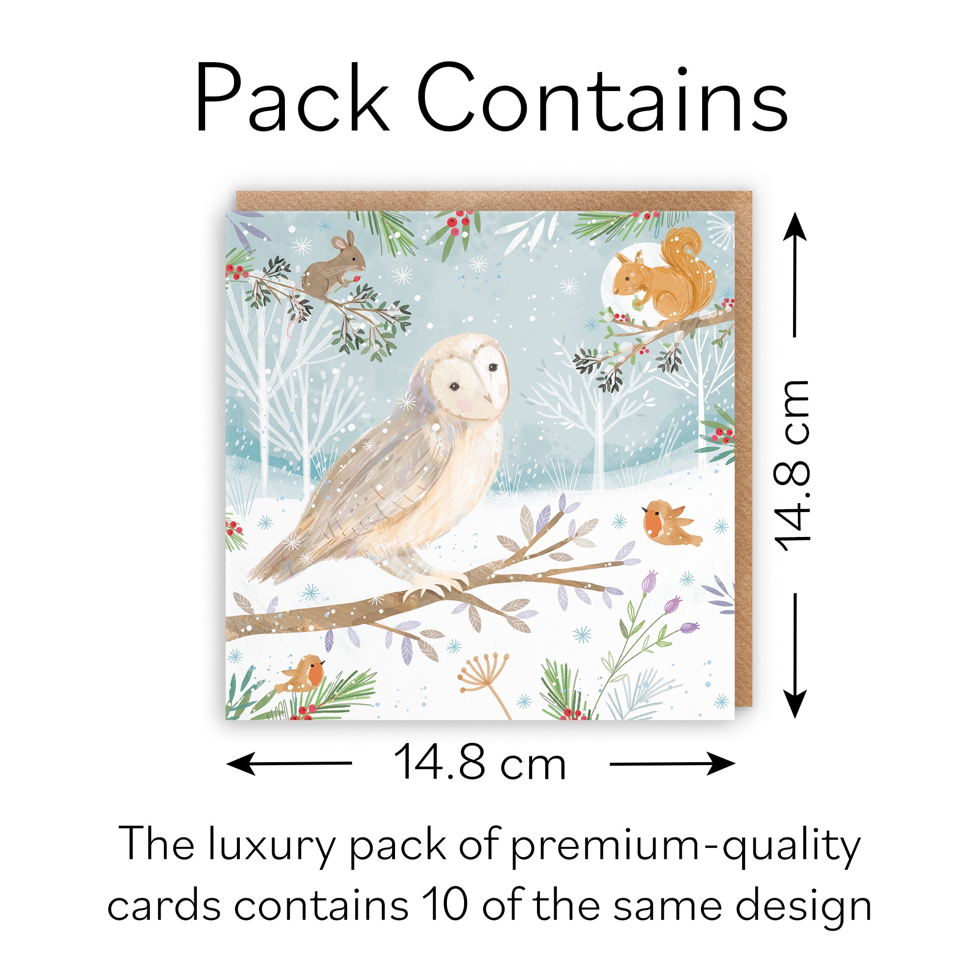 Owl Family Fun Pack Of 10 Christmas Cards Nature's Treasures