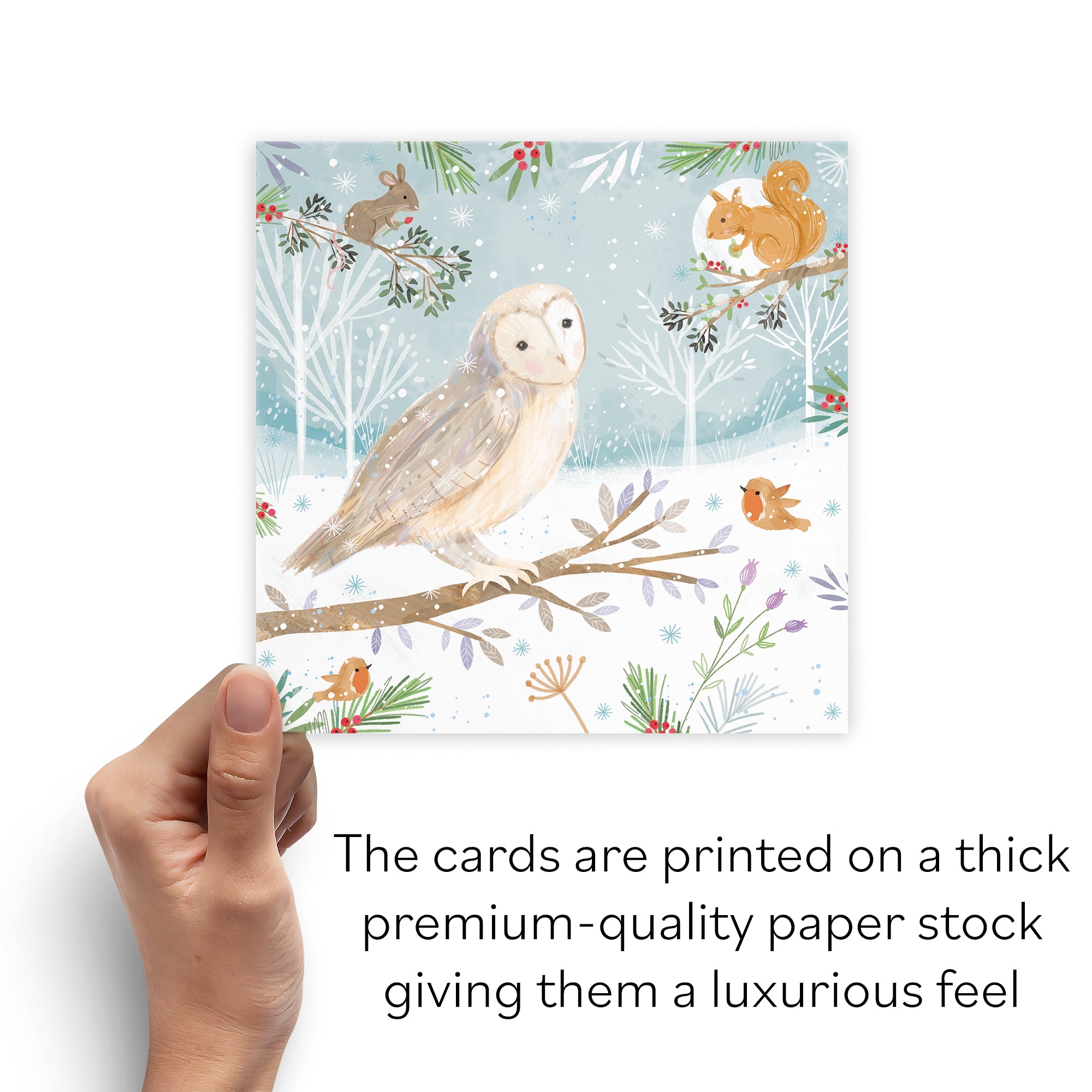 Owl Family Fun Pack Of 10 Christmas Cards Nature's Treasures