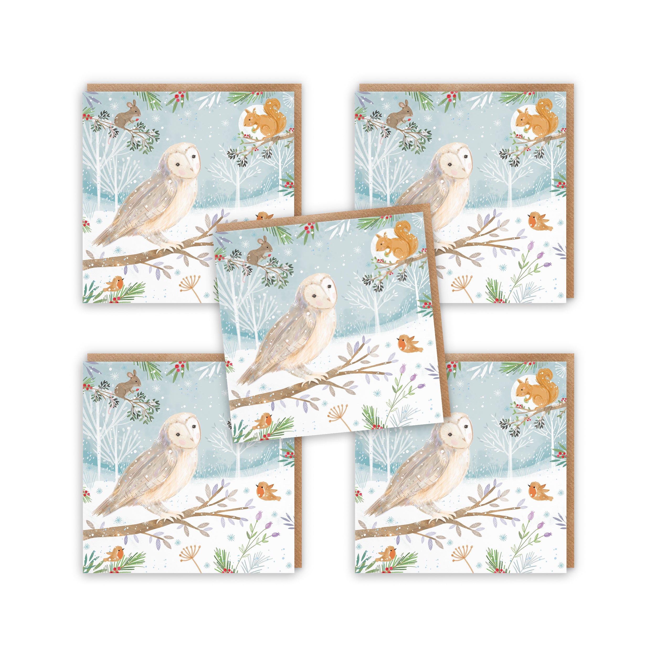 Owl Family Fun Pack Of 10 Christmas Cards Nature's Treasures