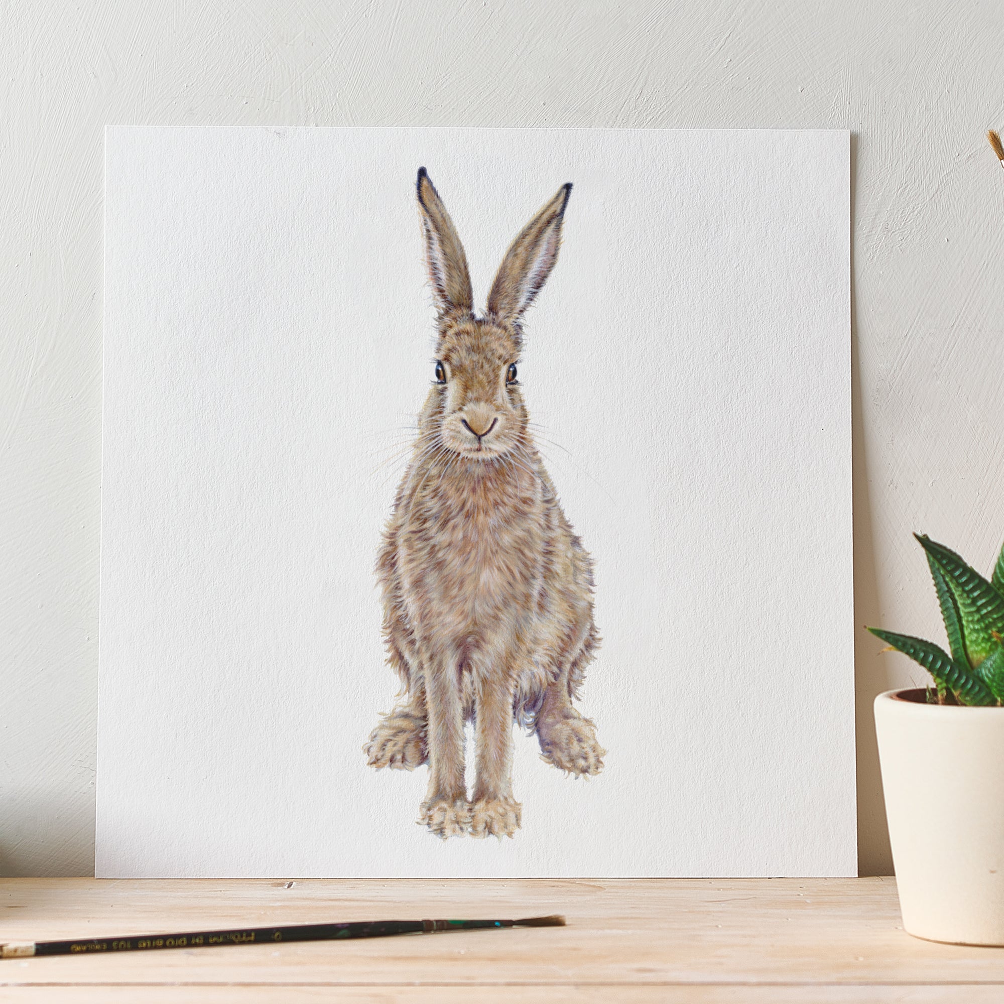 'The Hare' Fine Art Unframed Square Print Milo's Gallery