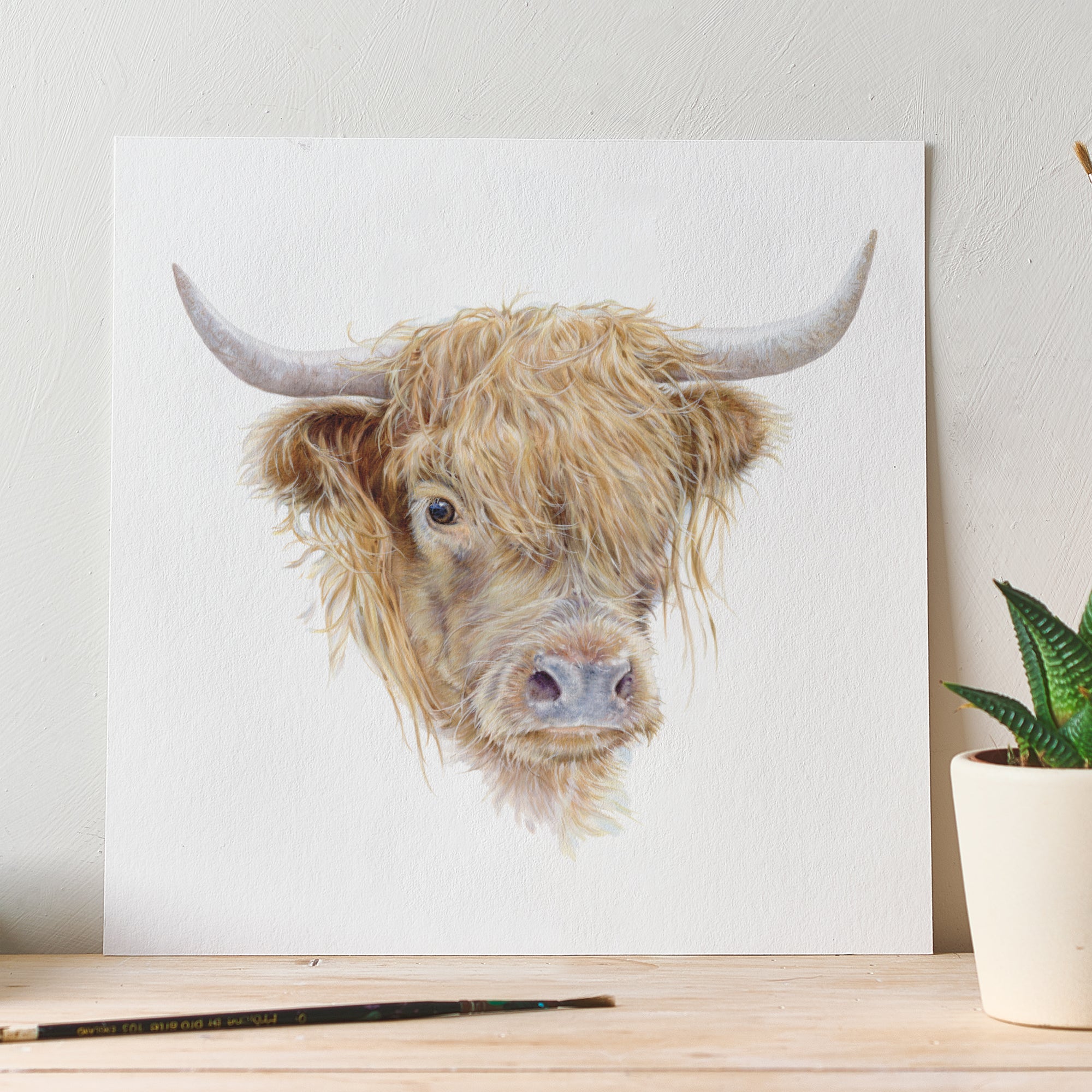 'Highland Cow' Fine Art Unframed Square Print Milo's Gallery