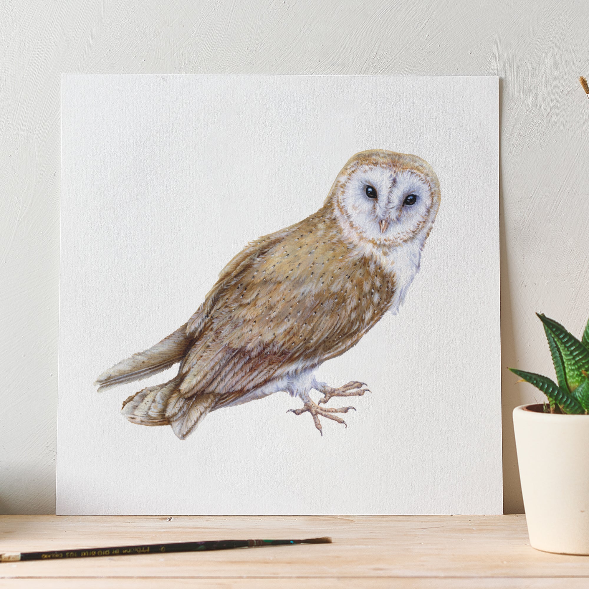 'The Owl' Fine Art Unframed Square Print Milo's Gallery