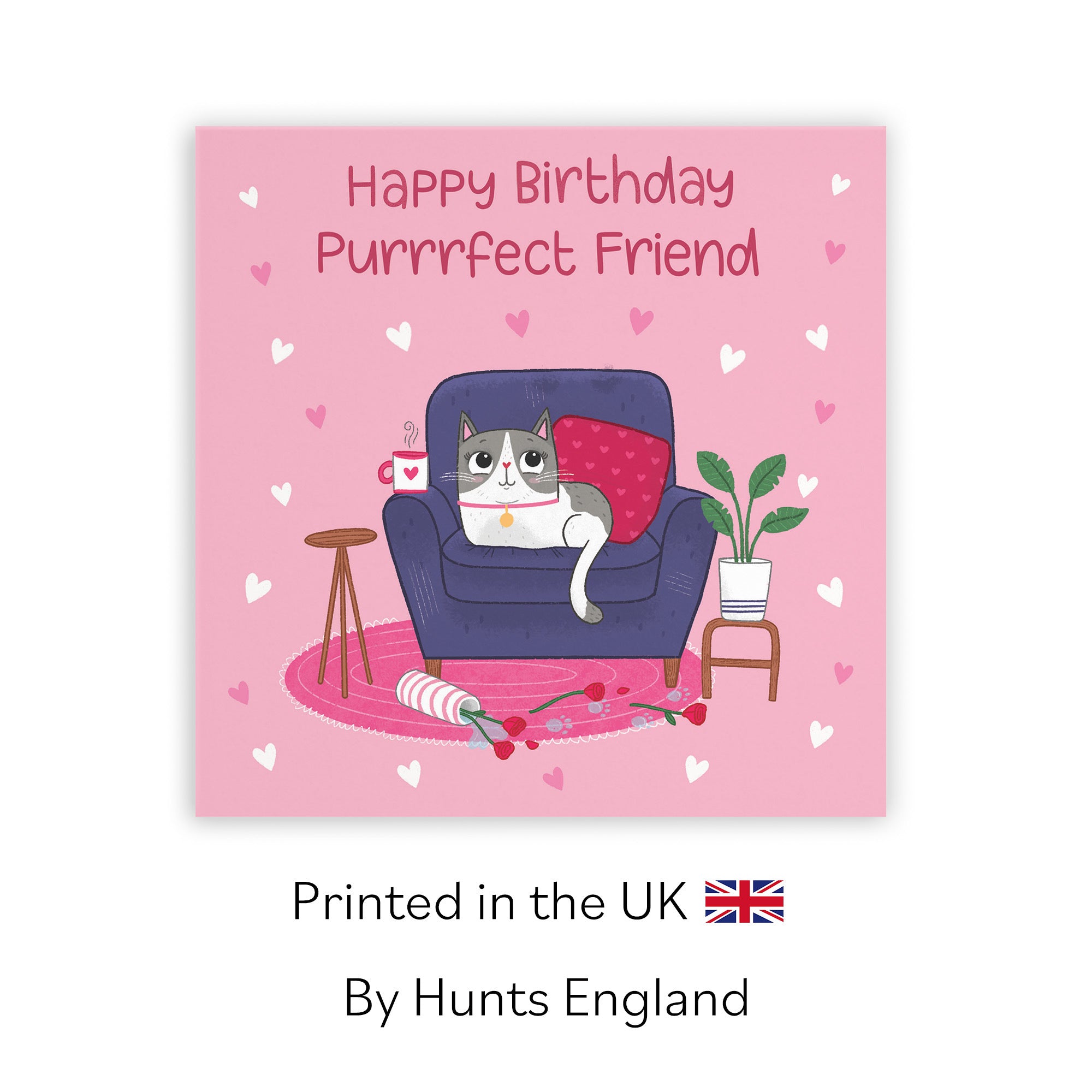 Friend Cat Birthday Card Iconic - Default Title (LG01657)