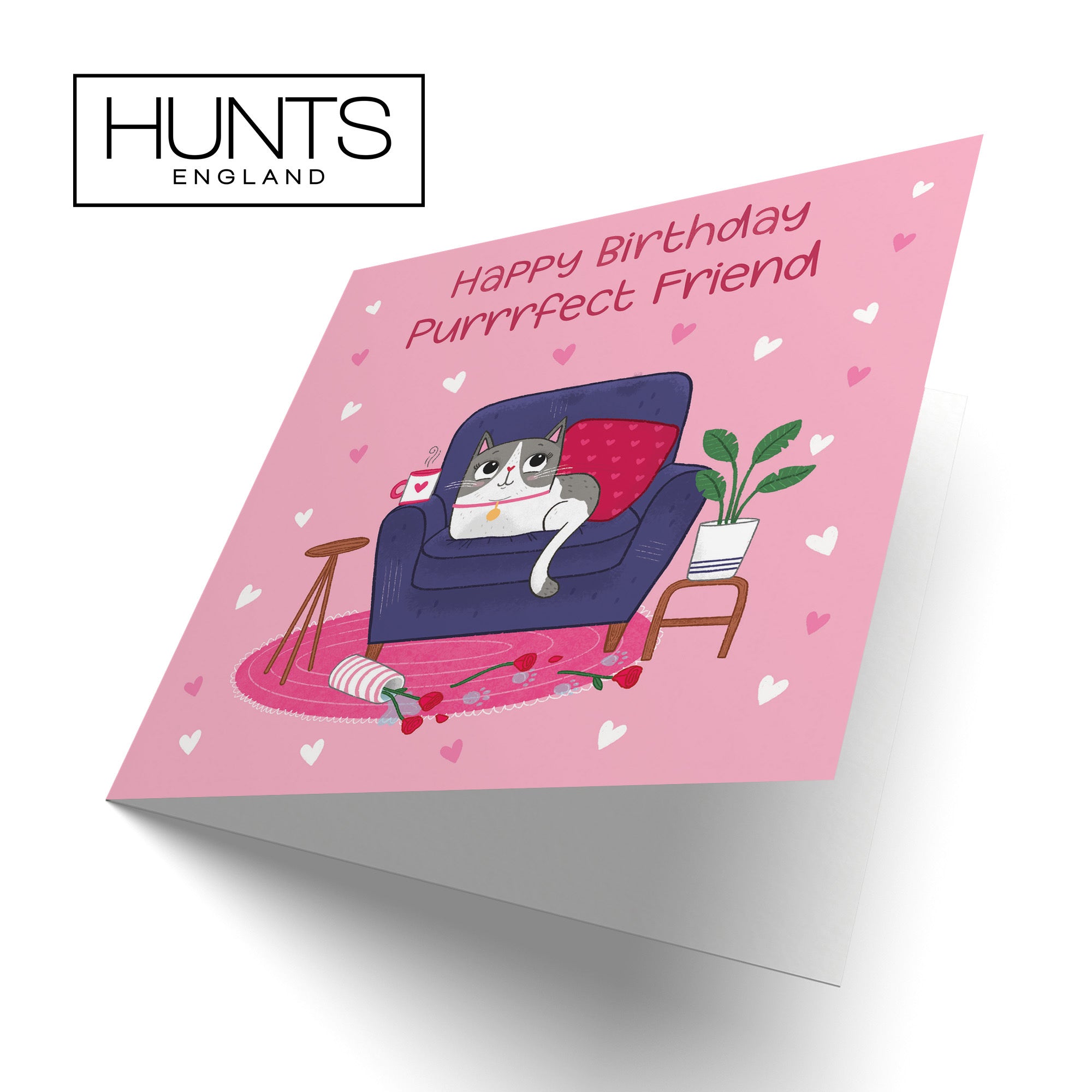 Friend Cat Birthday Card Iconic - Default Title (LG01657)