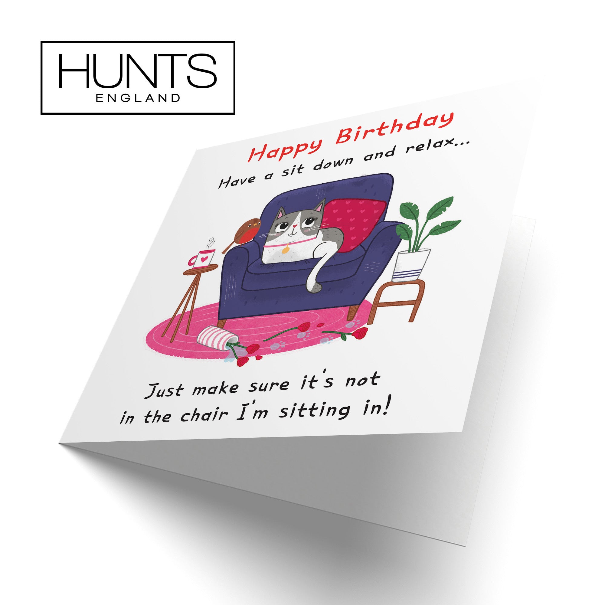 Funny Cat Birthday Card Sit Down And Relax Iconic - Default Title (LG01659)