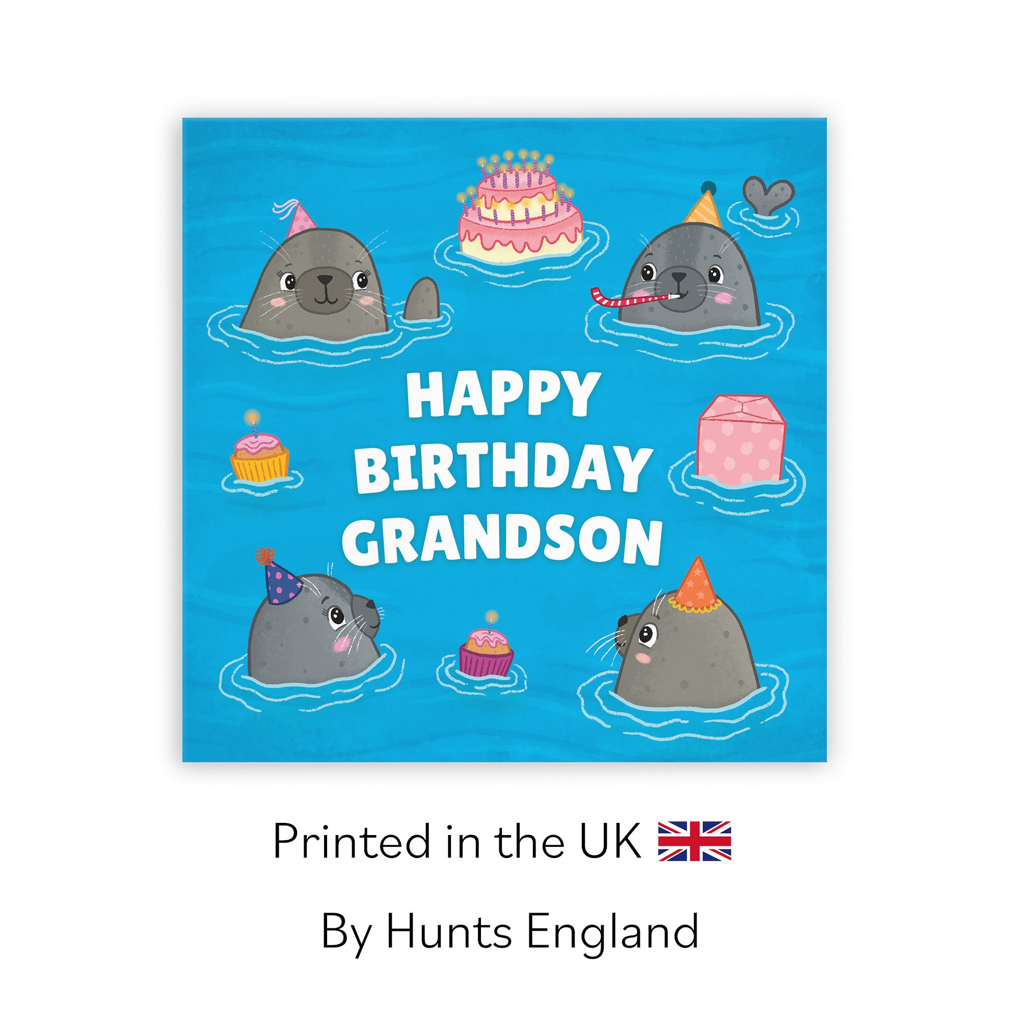 Grandson Cute Seals Birthday Card Ocean - Default Title (LG01745)