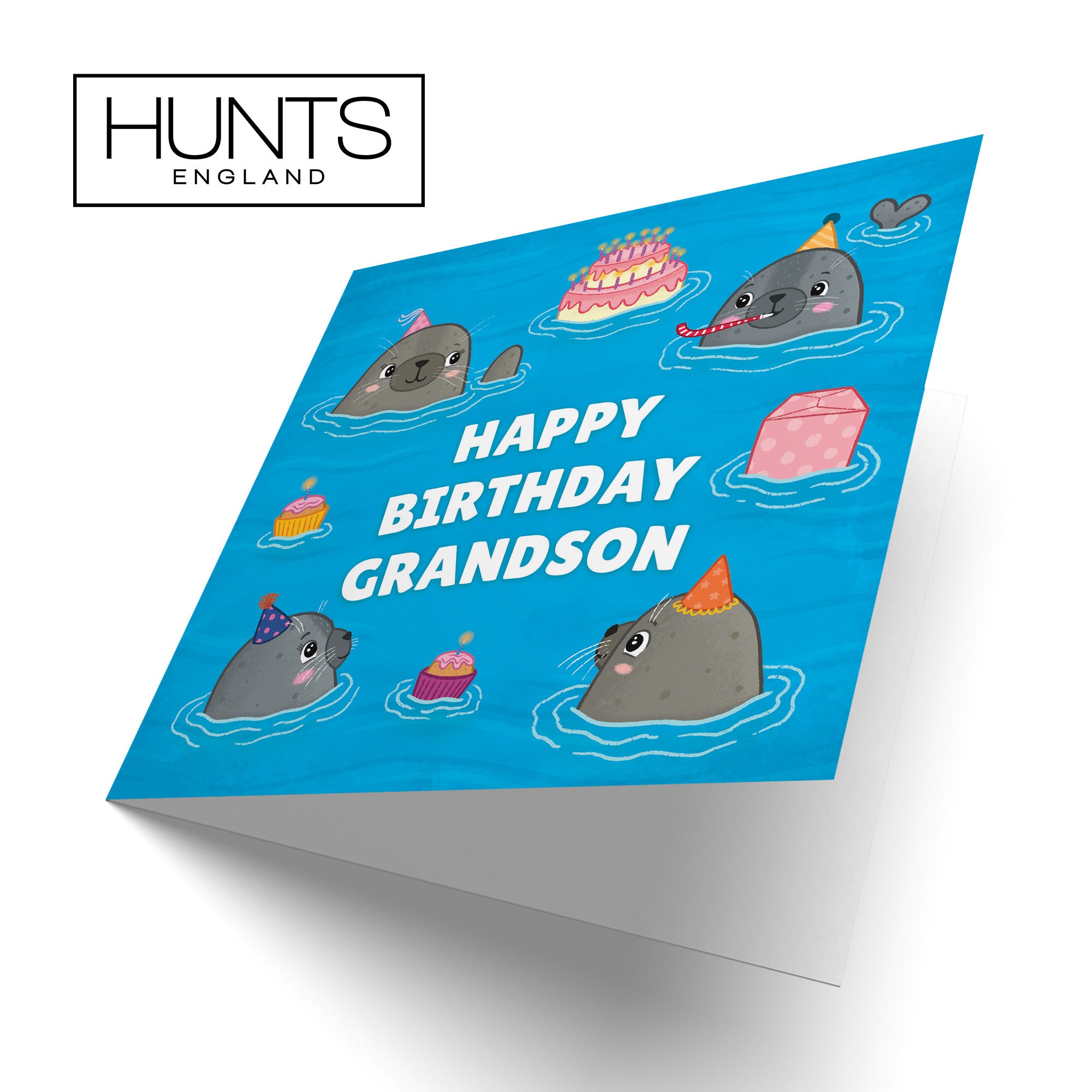 Grandson Cute Seals Birthday Card Ocean - Default Title (LG01745)