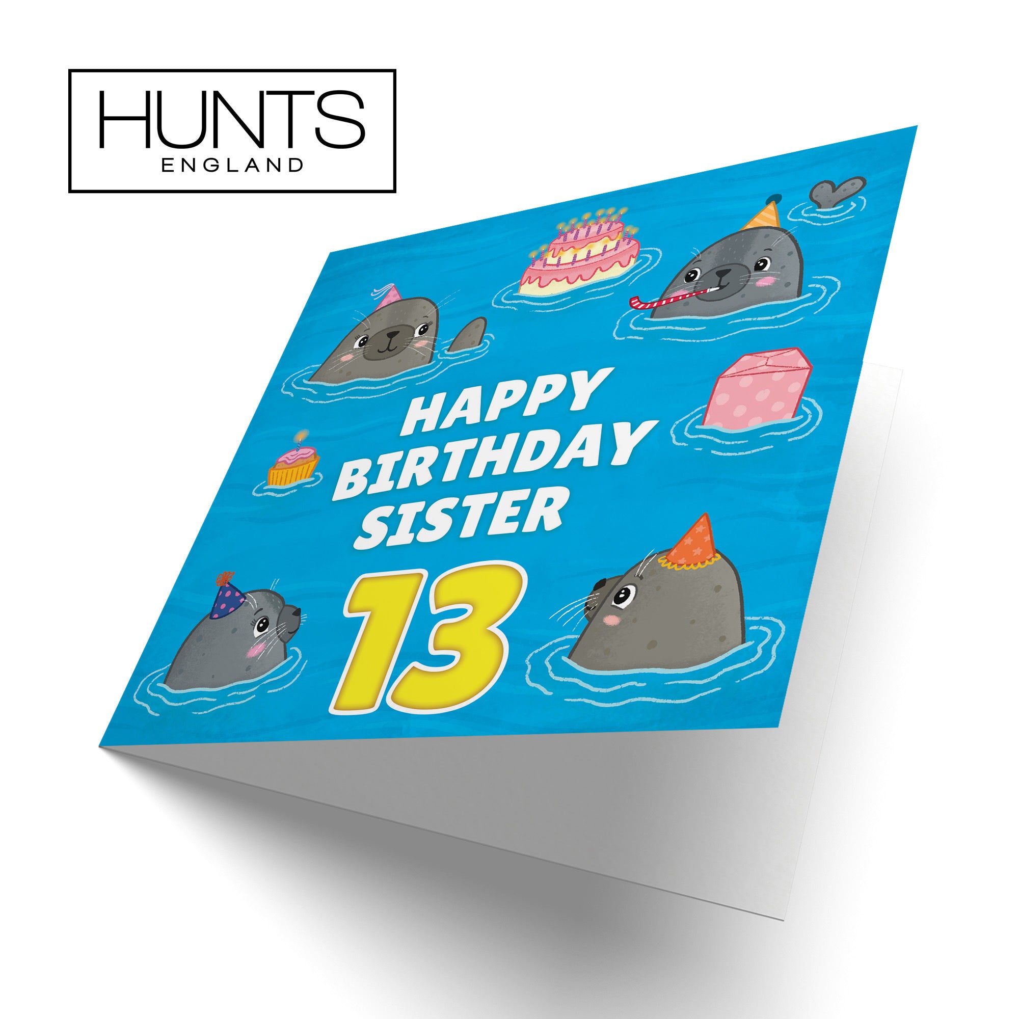 13th Sister Cute Seals Birthday Card Ocean - Default Title (LG01749)