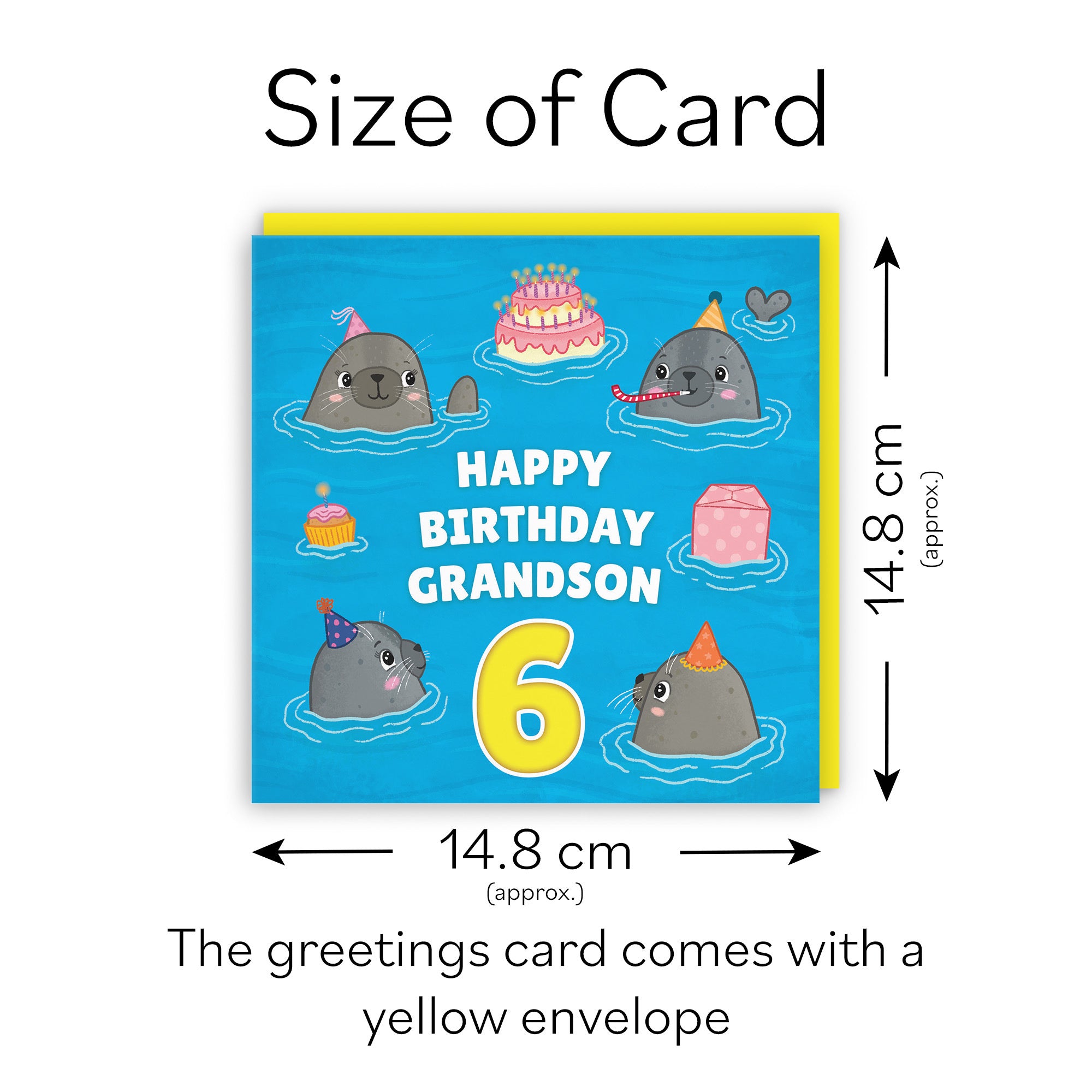 6th Grandson Cute Seals Birthday Card Ocean - Default Title (LG01757)