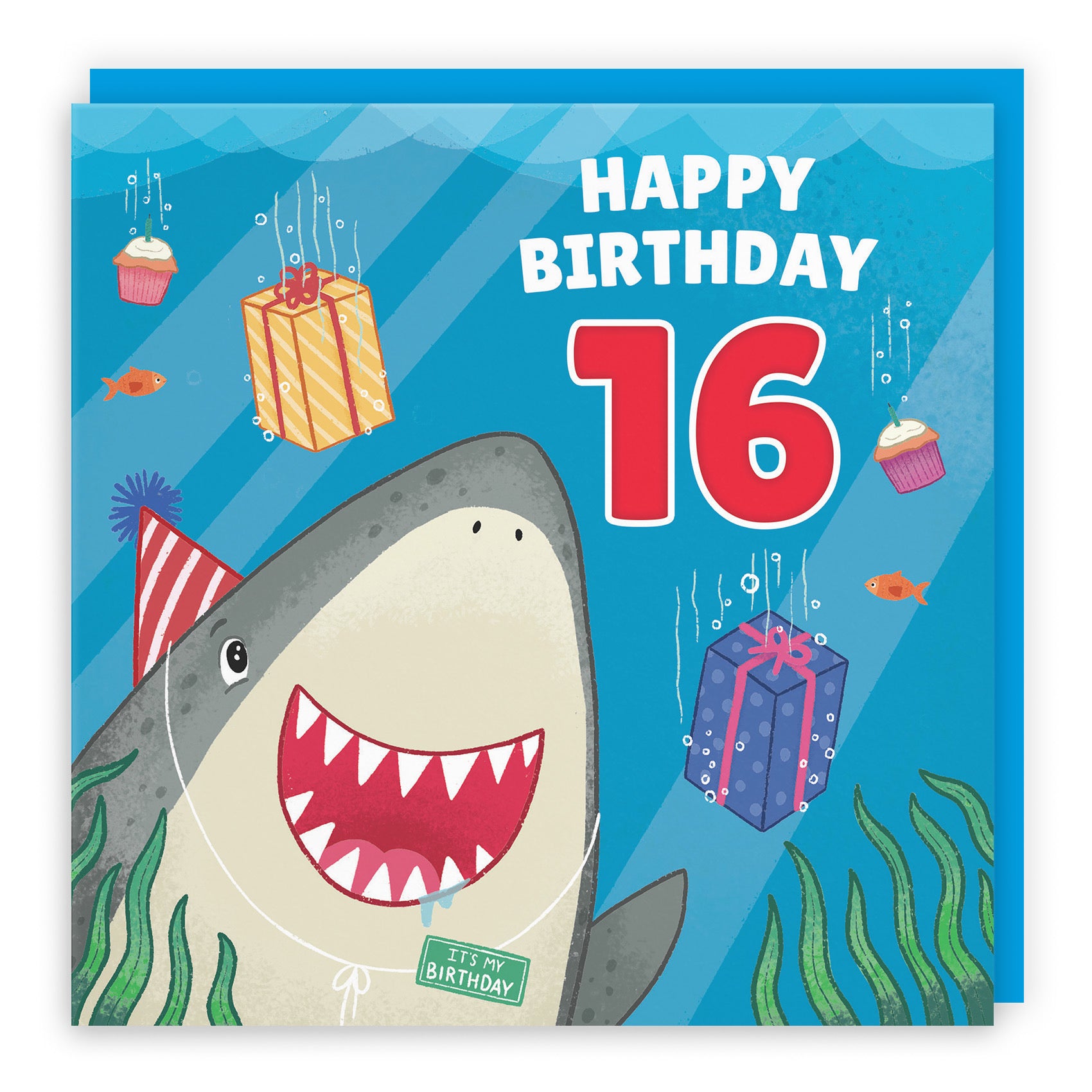 16th Cute Shark Birthday Card Ocean - Default Title (LG01767)