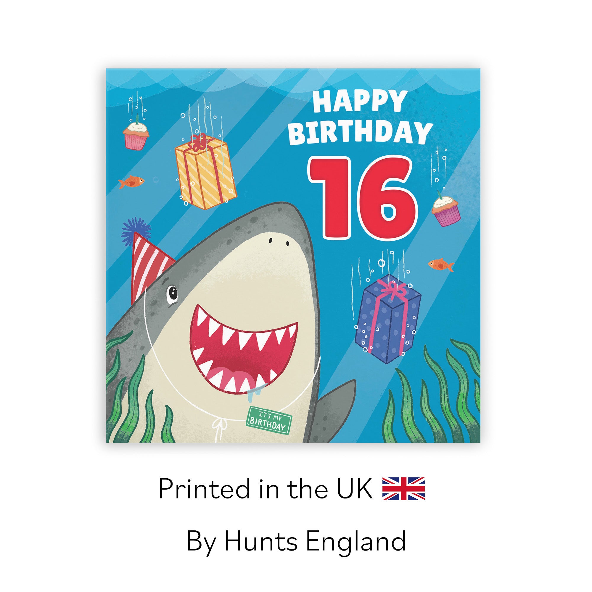 16th Cute Shark Birthday Card Ocean - Default Title (LG01767)