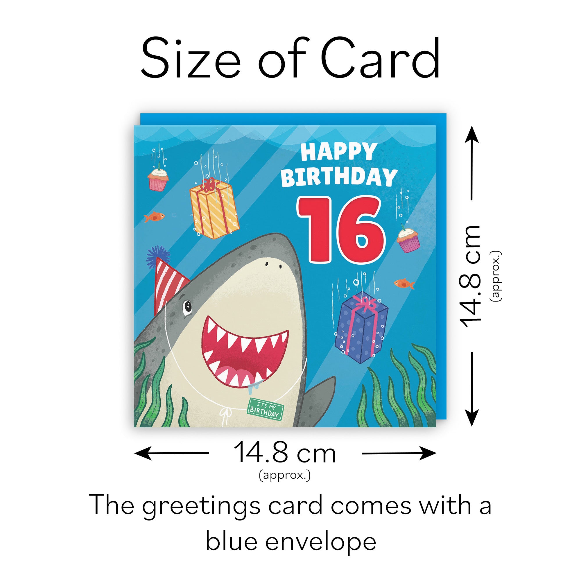 16th Cute Shark Birthday Card Ocean - Default Title (LG01767)