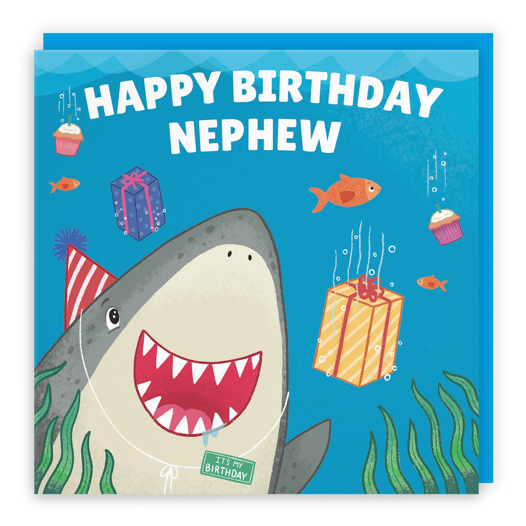 Nephew Cute Shark Birthday Card Ocean - Default Title (LG01771)