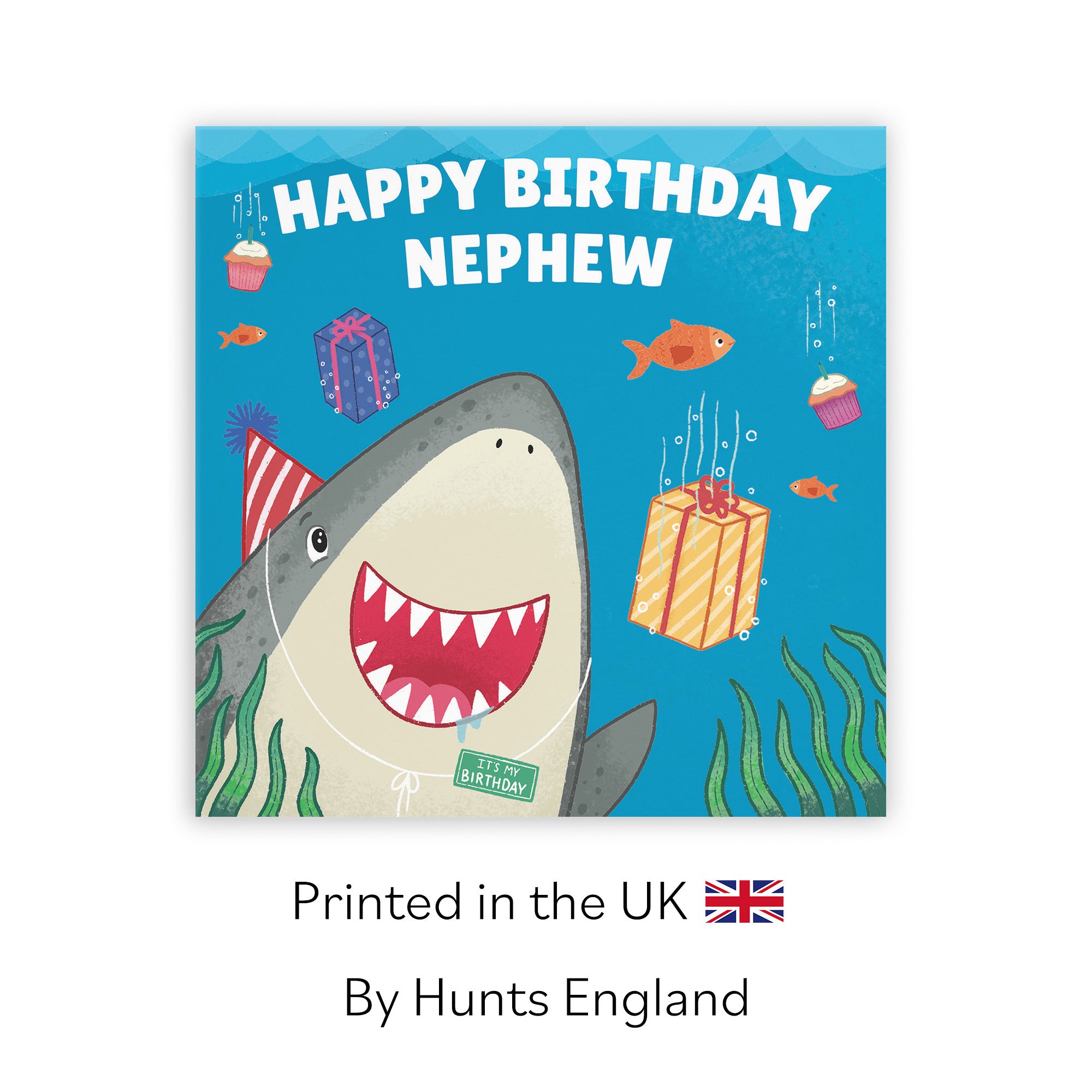 Nephew Cute Shark Birthday Card Ocean - Default Title (LG01771)
