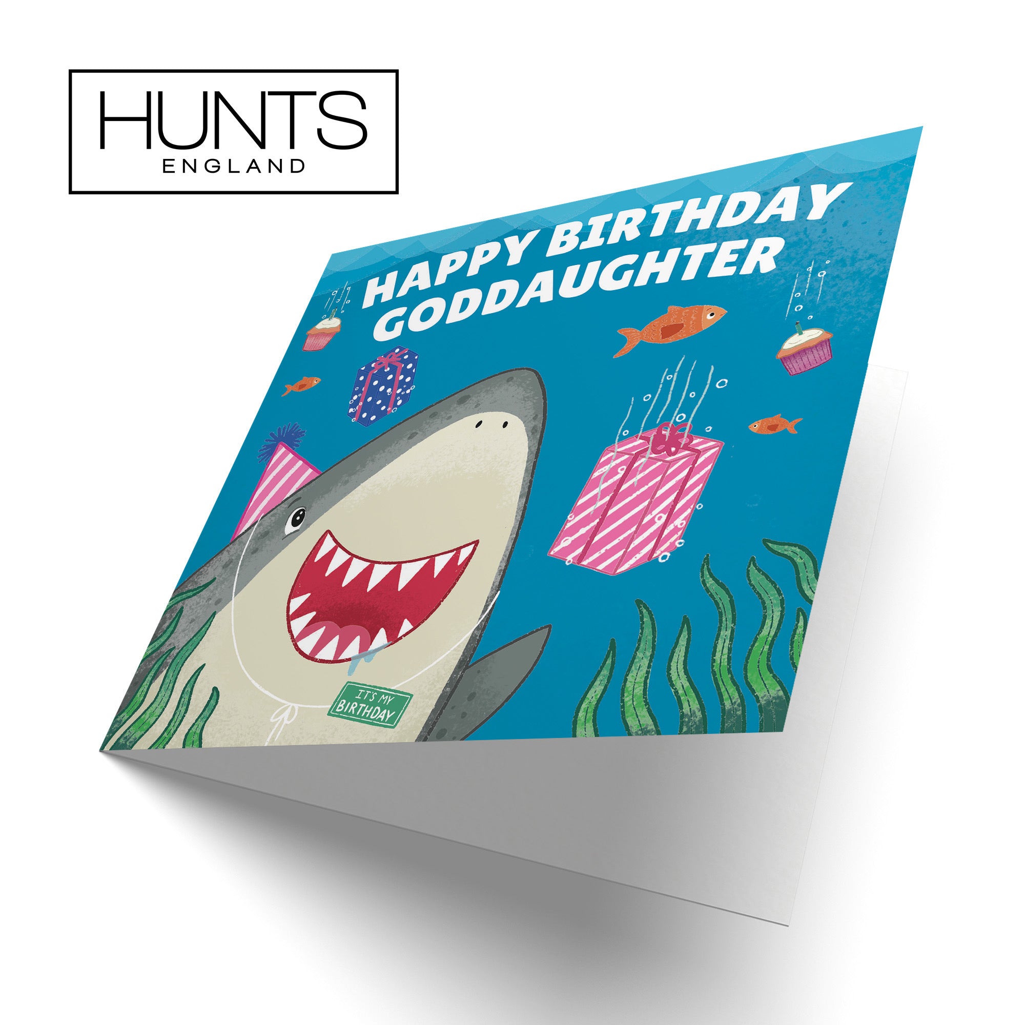 Goddaughter Cute Shark Birthday Card Ocean - Default Title (LG01775)