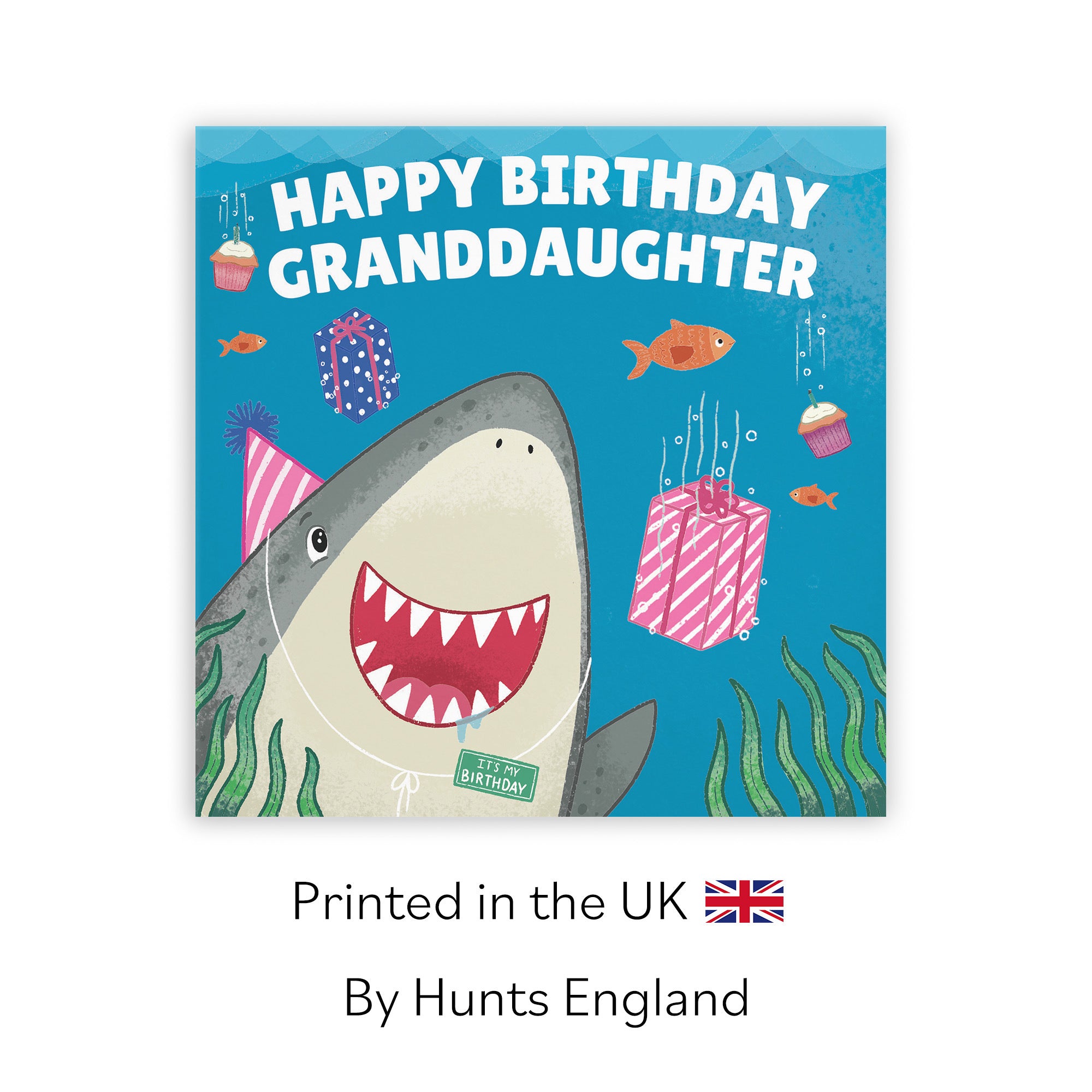Granddaughter Cute Shark Birthday Card Ocean - Default Title (LG01778)