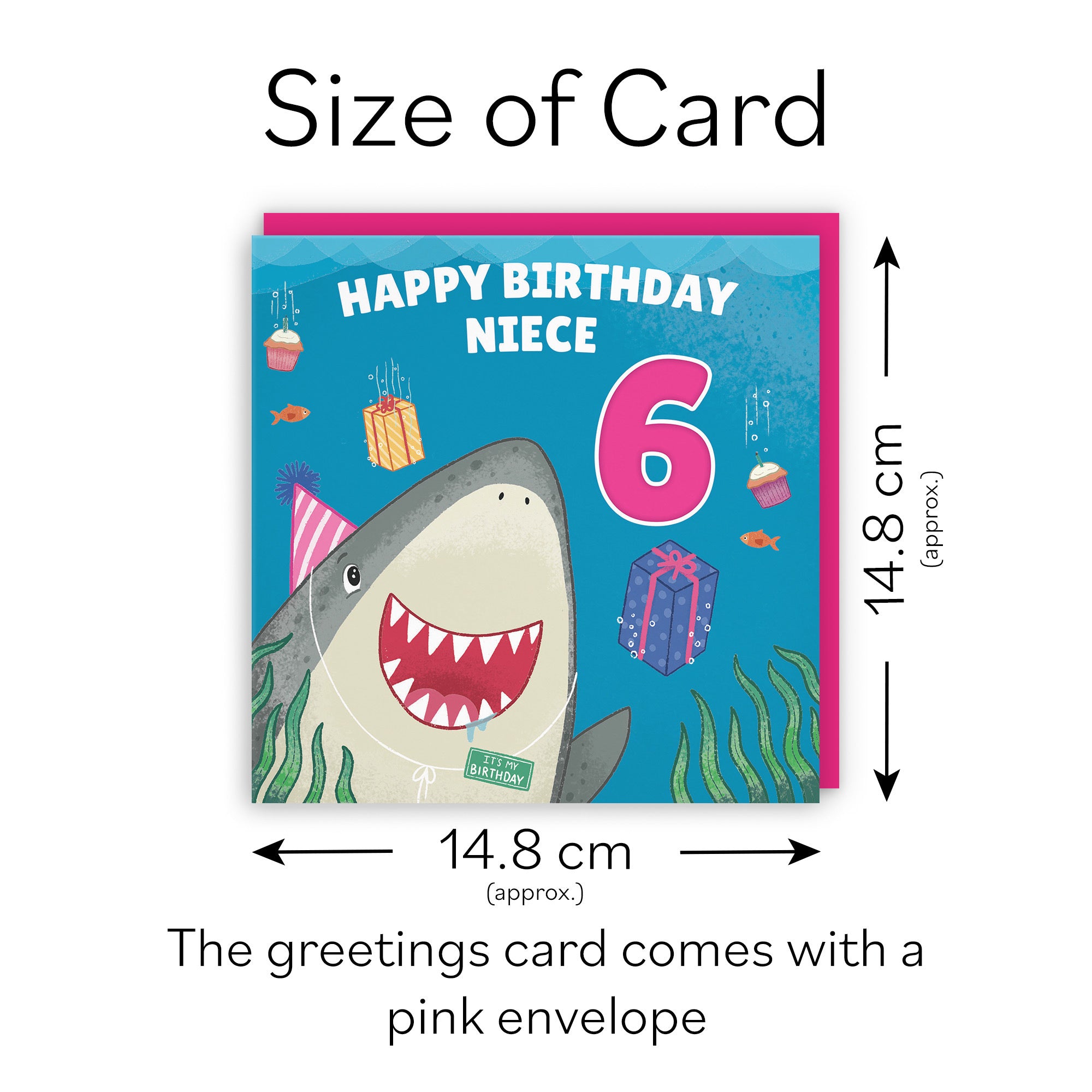6th Niece Cute Shark Birthday Card Ocean - Default Title (LG01782)