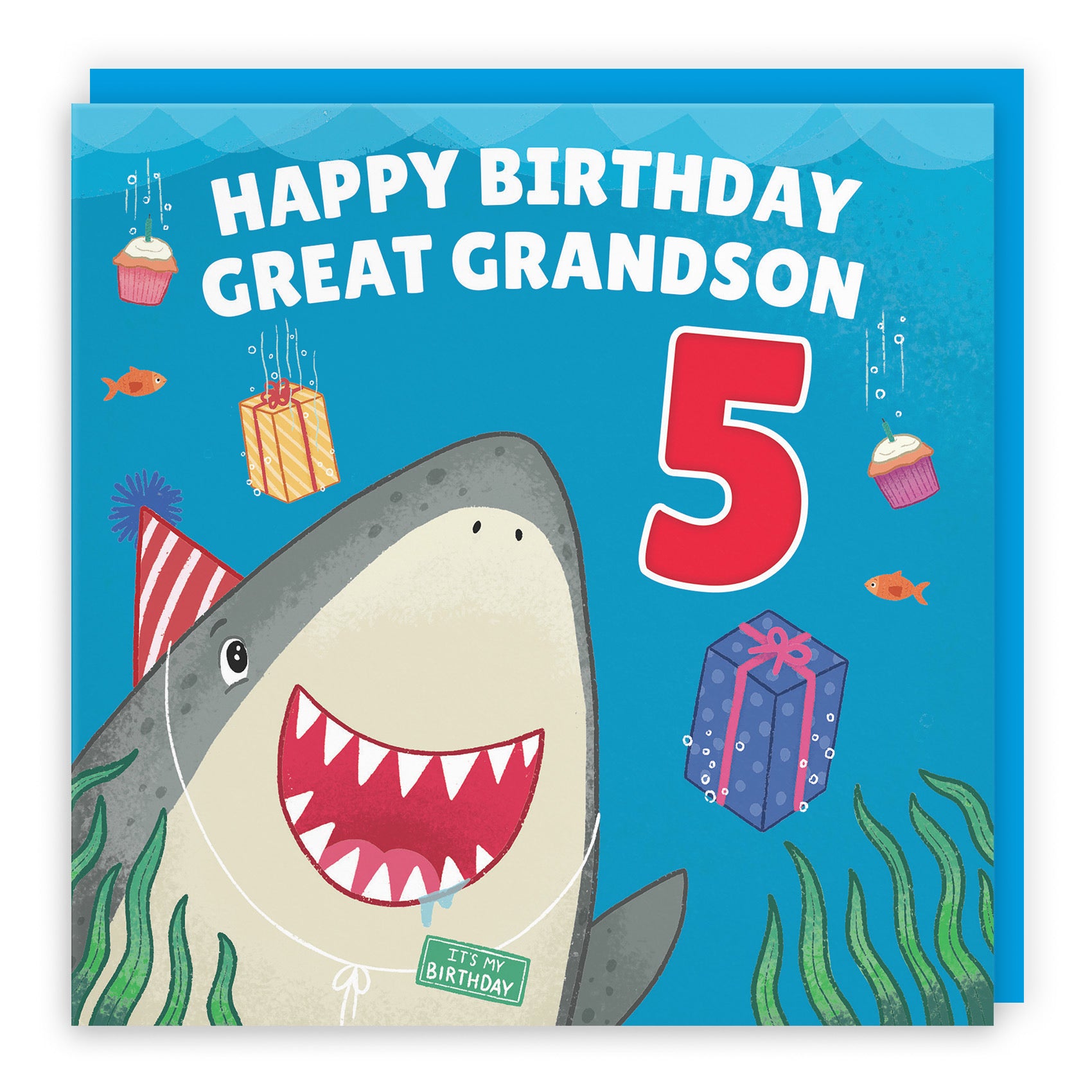 5th Great Grandson Cute Shark Birthday Card Ocean - Default Title (LG01792)