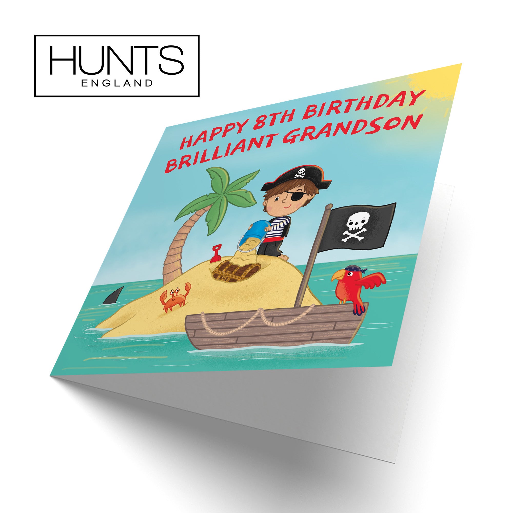 8th Grandson Birthday Pirate Desert Island Card Imagination - Default Title (LG01953)