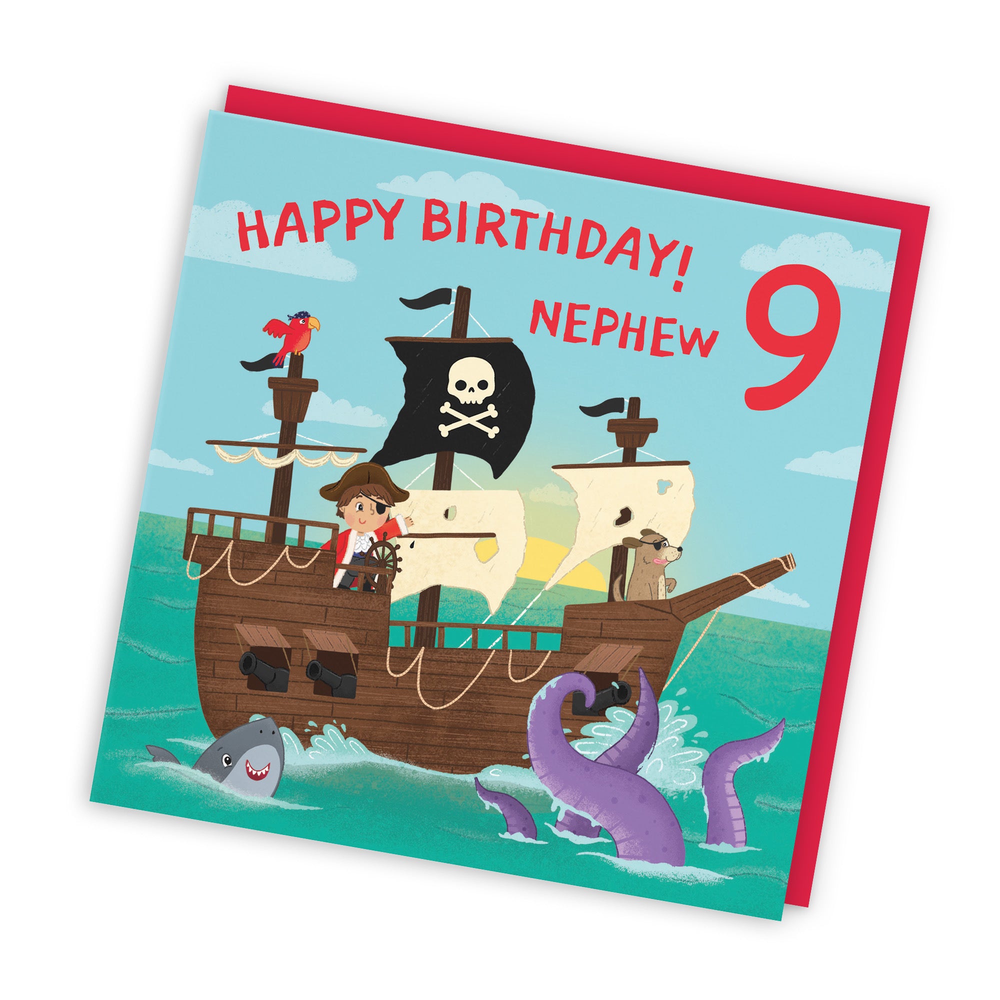 9th Nephew Pirate Ship Birthday Card Imagination - Default Title (LG02029)