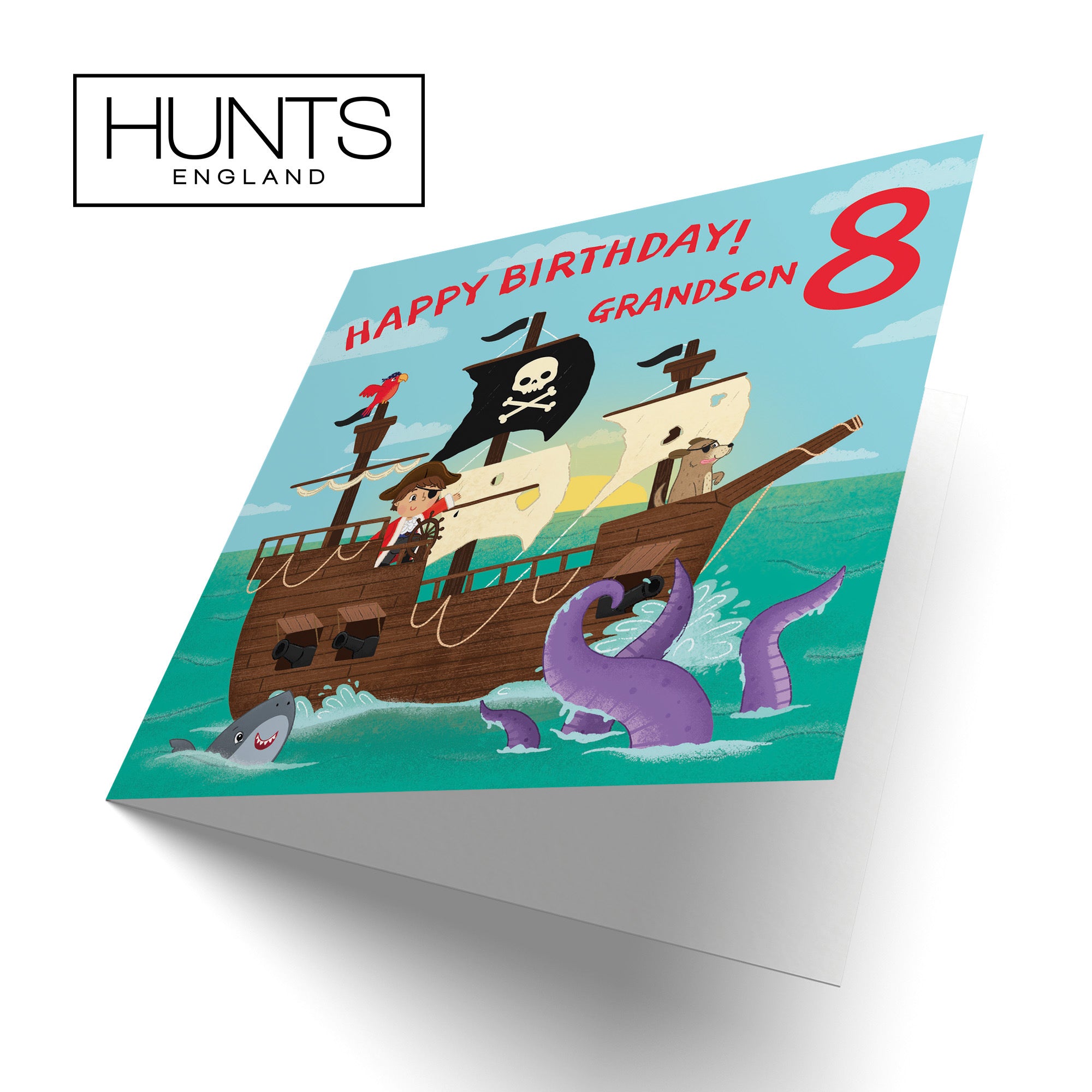8th Grandson Pirate Ship Birthday Card Imagination - Default Title (LG02031)